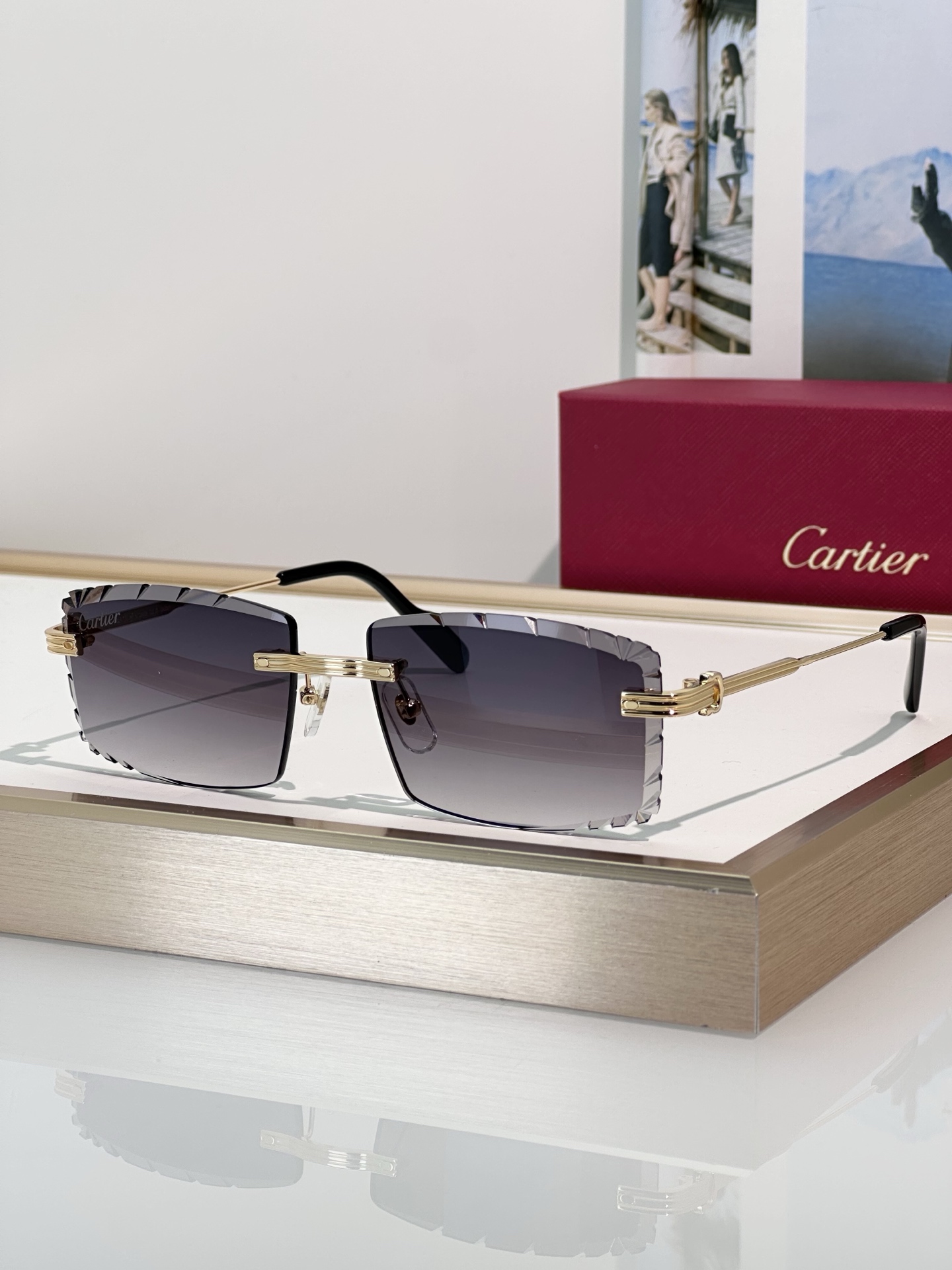 Designer Sunglasses CT0850S