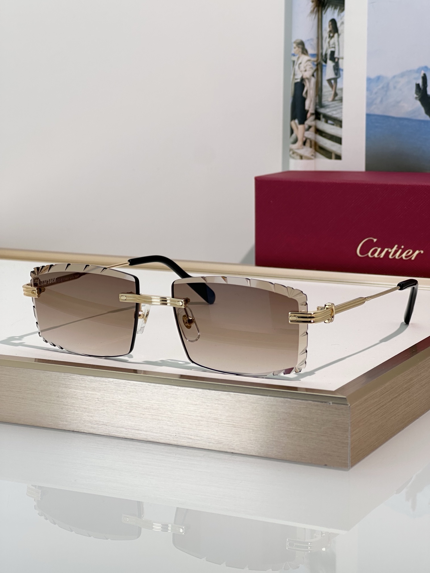 Designer Sunglasses CT0850S