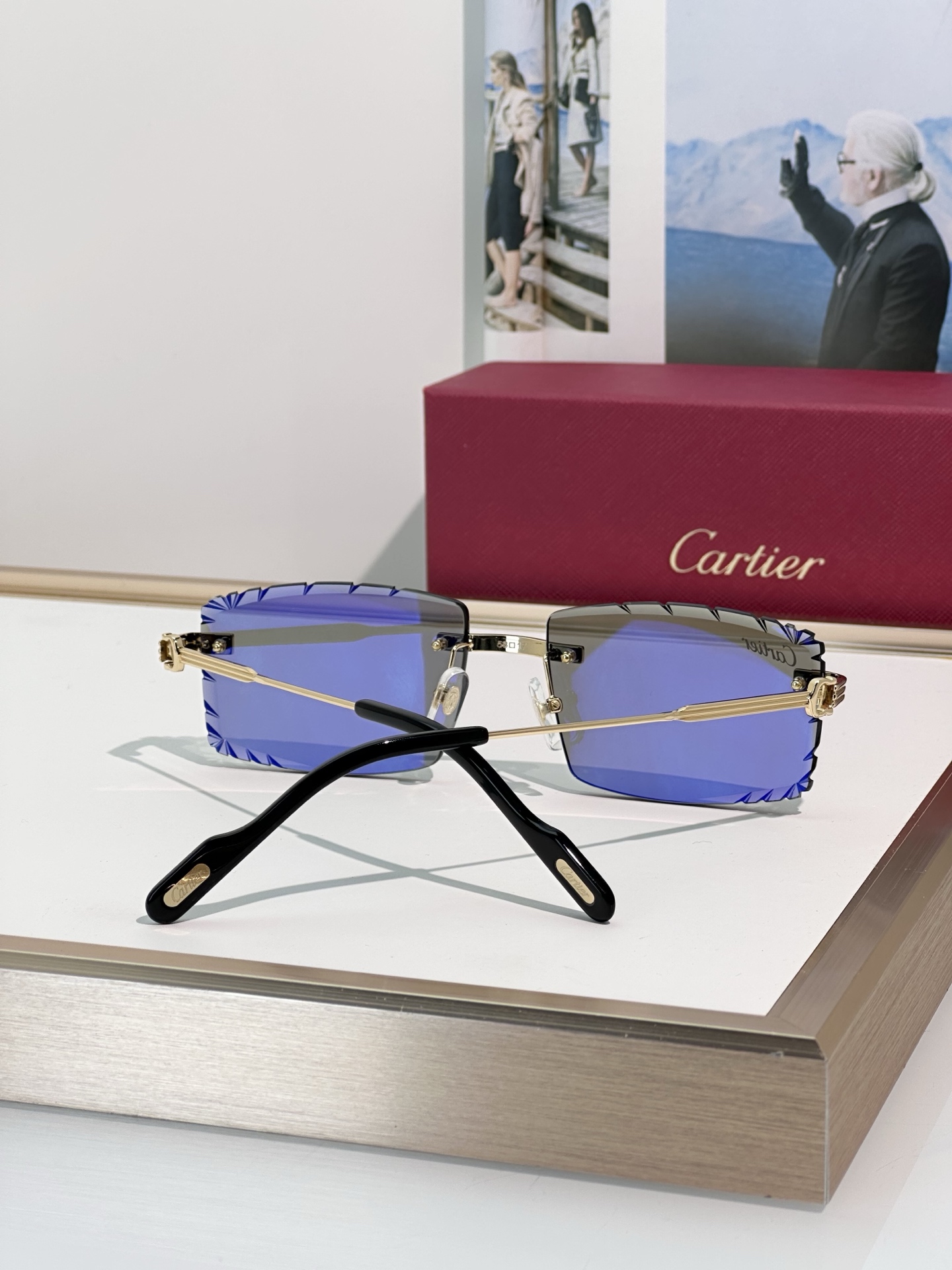 Designer Sunglasses CT0850S