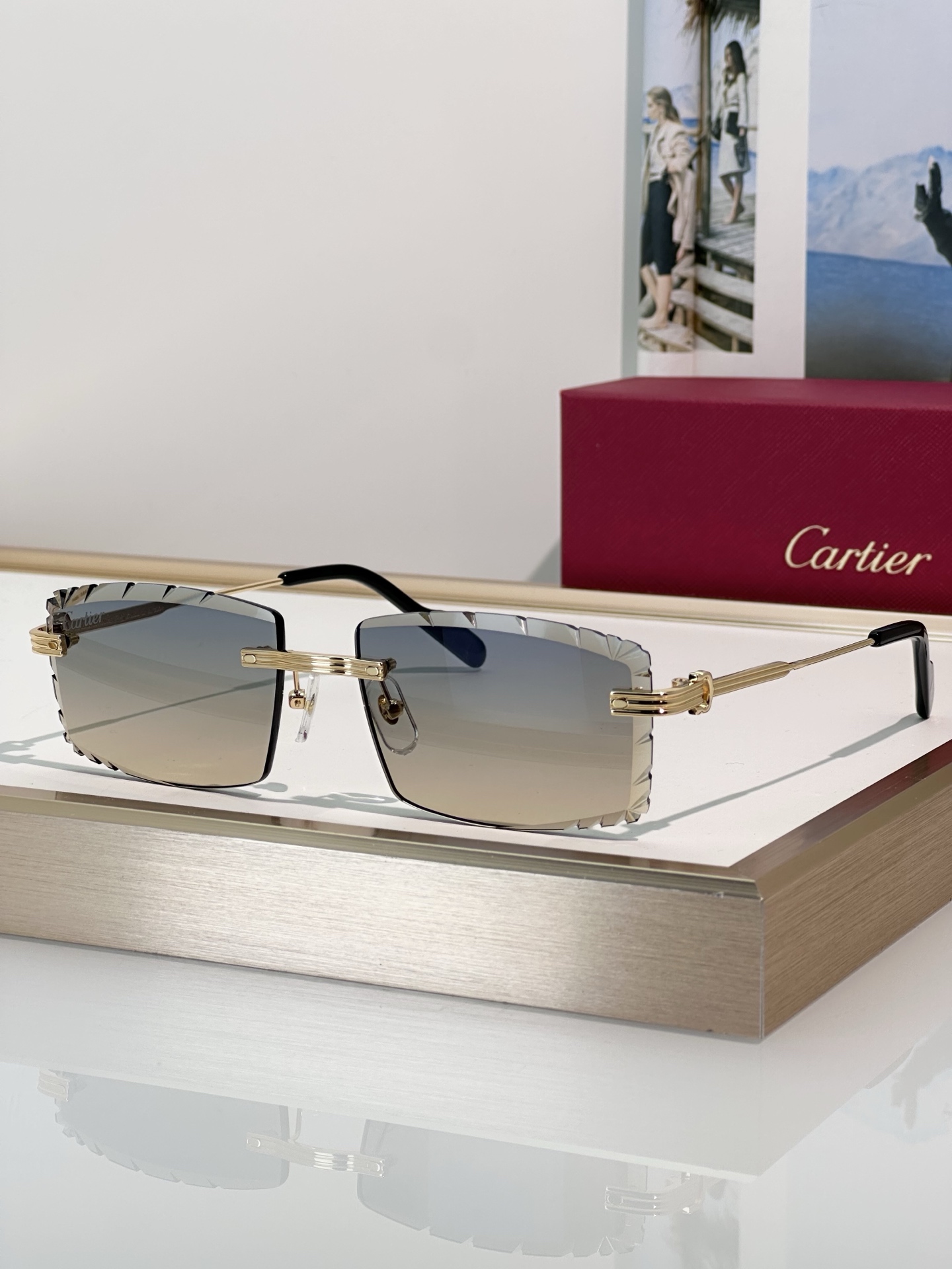 Designer Sunglasses CT0850S