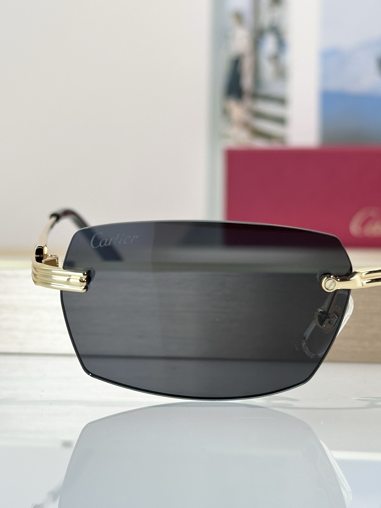 Designer Sunglasses CT0578O