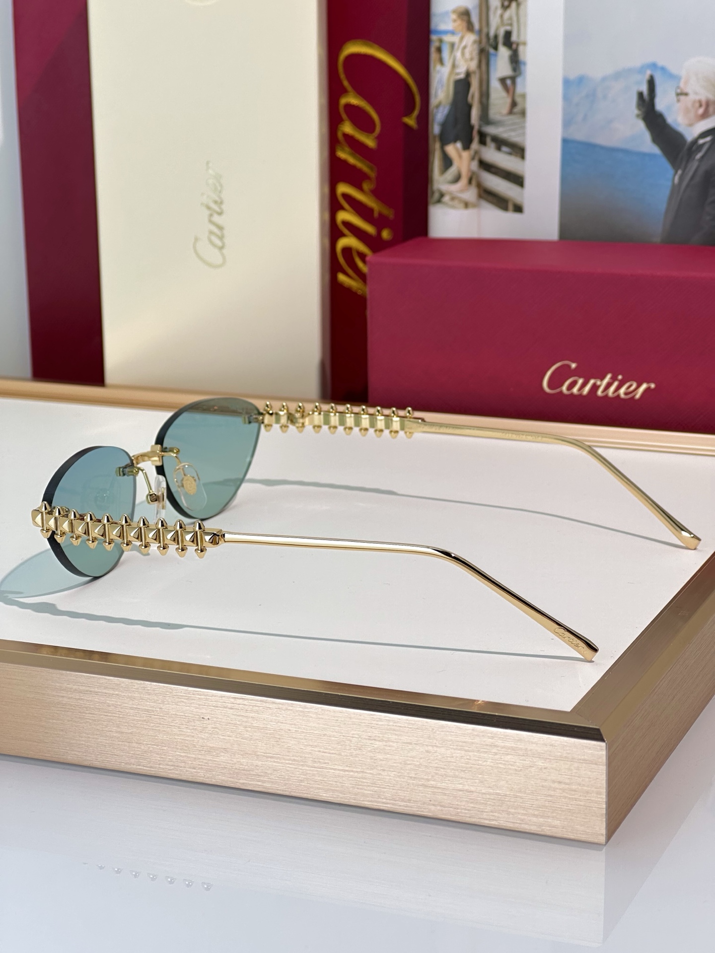 Designer Sunglasses CT0543S