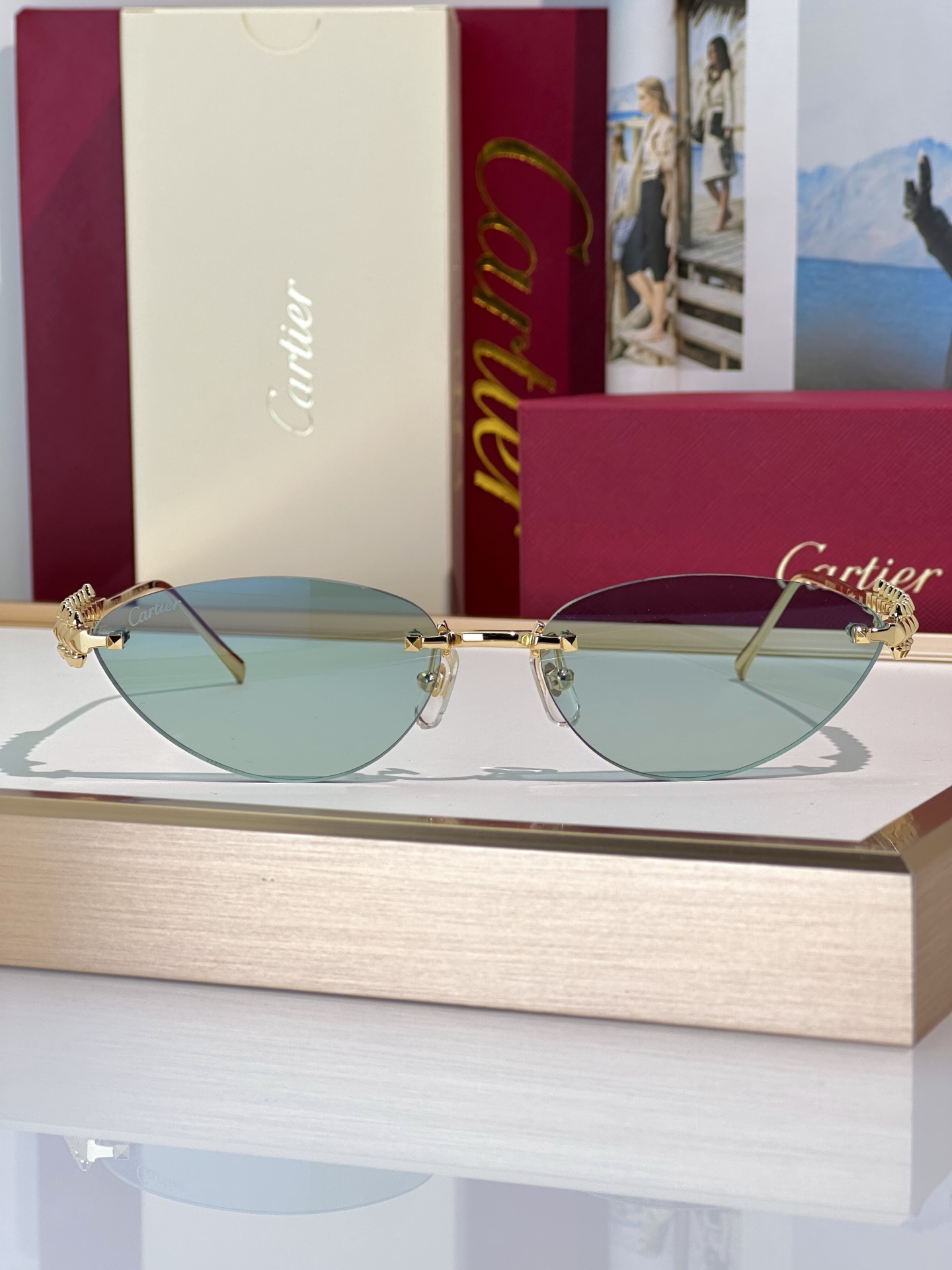 Designer Sunglasses CT0543S