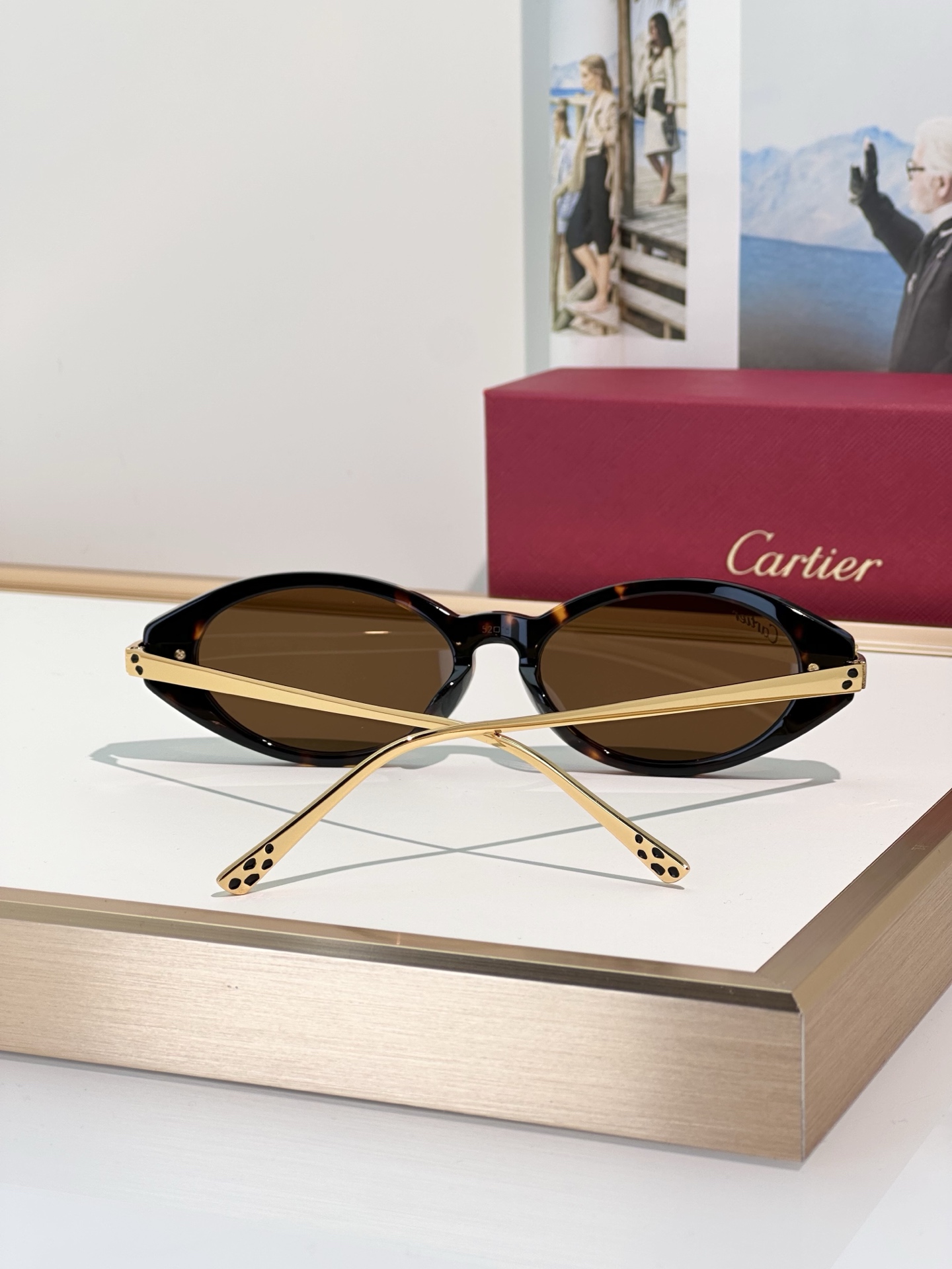 Designer Sunglasses CT0634S