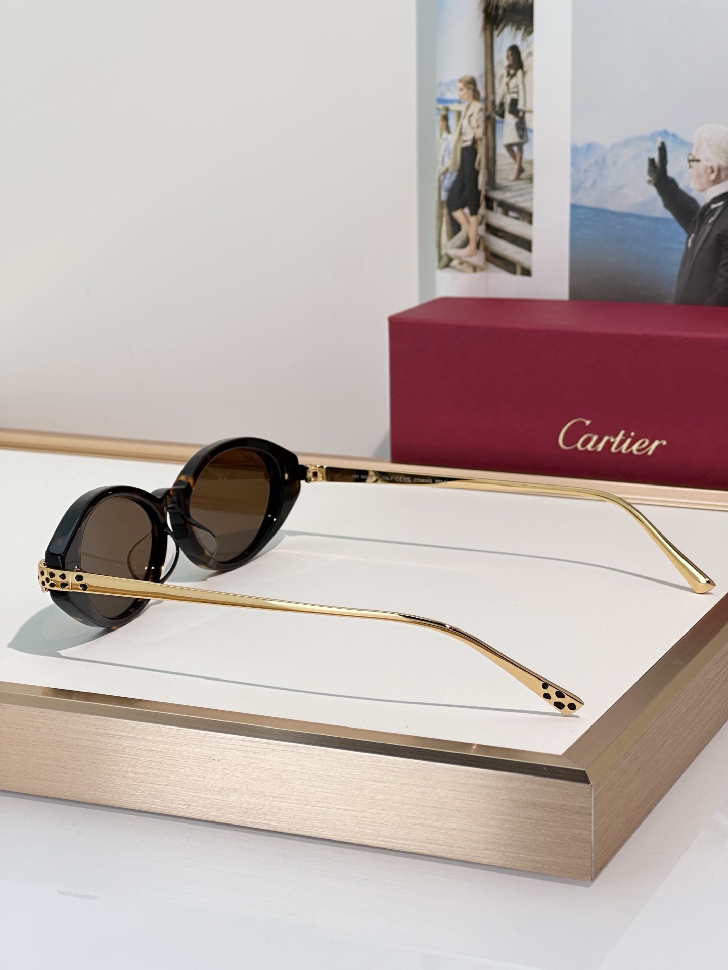 Designer Sunglasses CT0634S