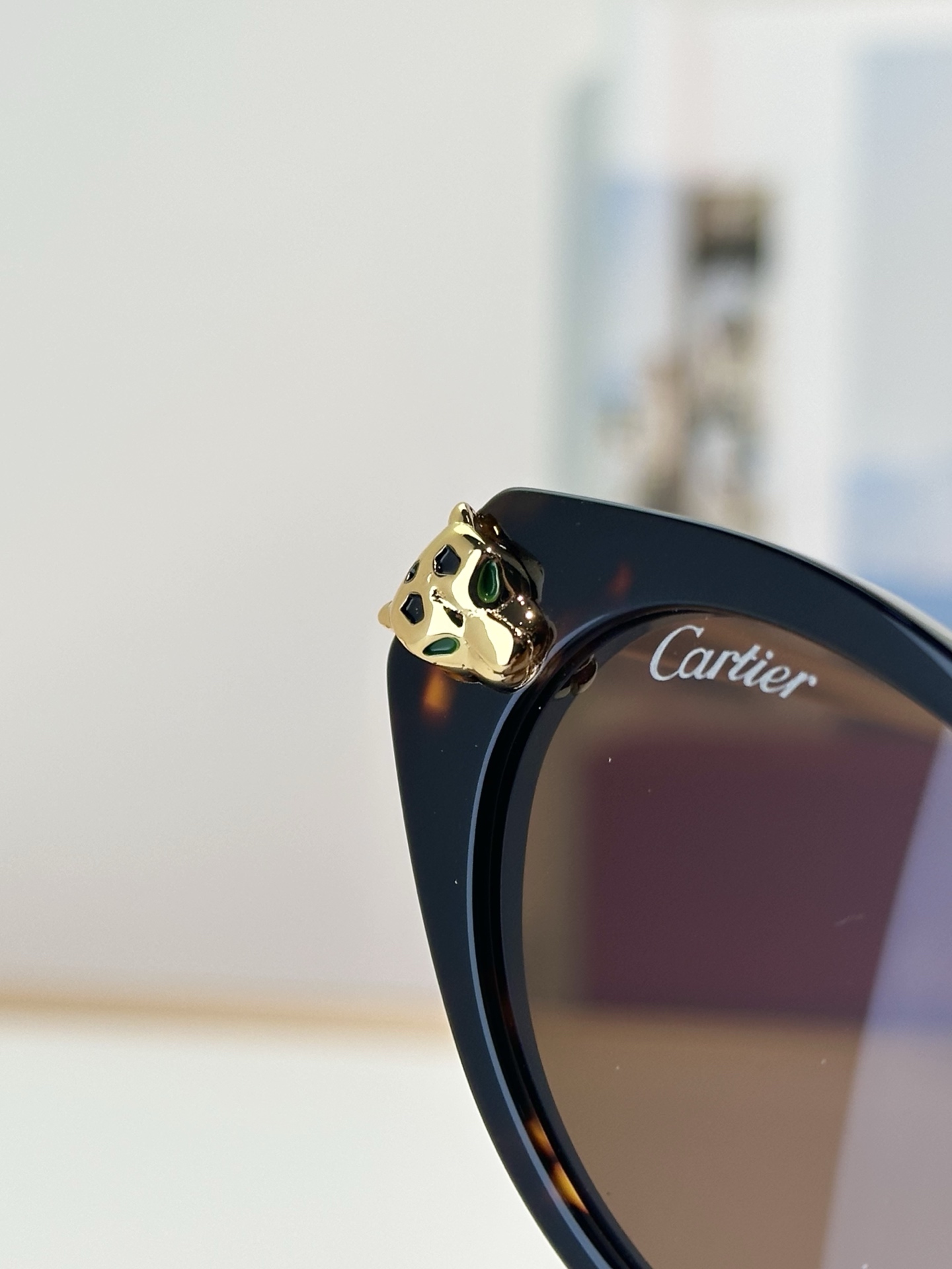 Designer Sunglasses CT0634S