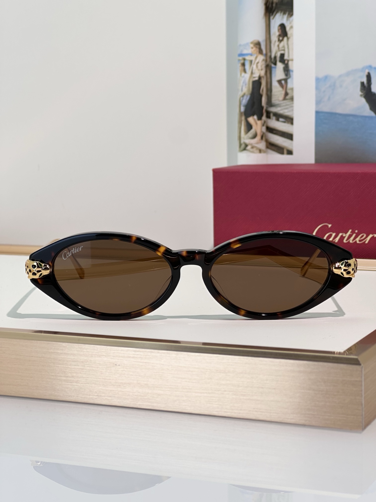 Designer Sunglasses CT0634S