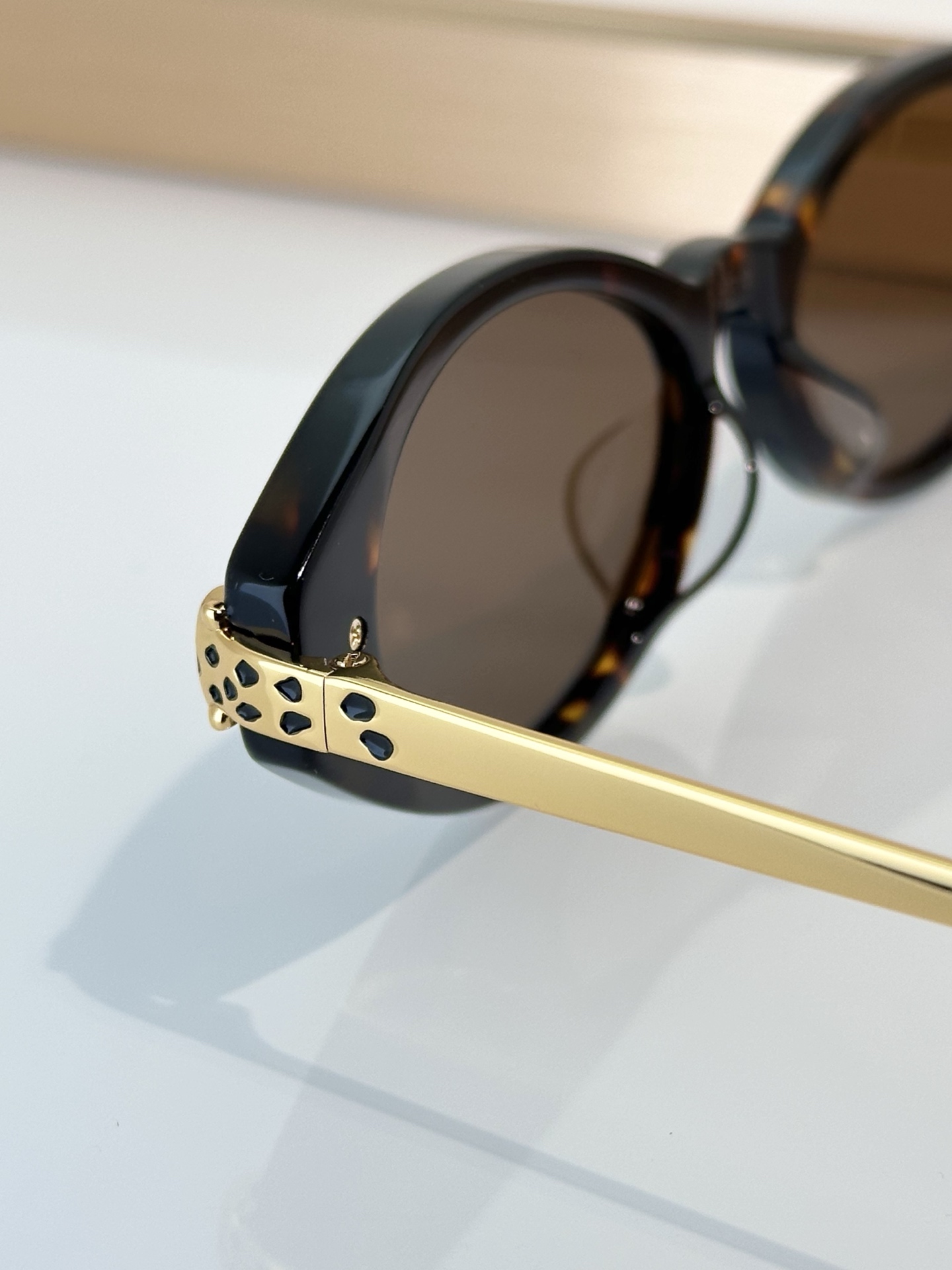 Designer Sunglasses CT0634S
