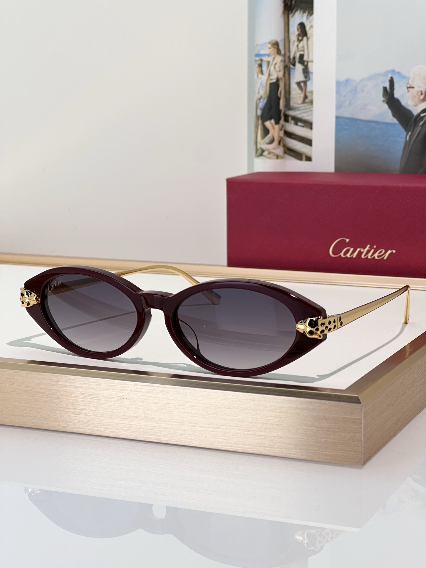 Designer Sunglasses CT0634S