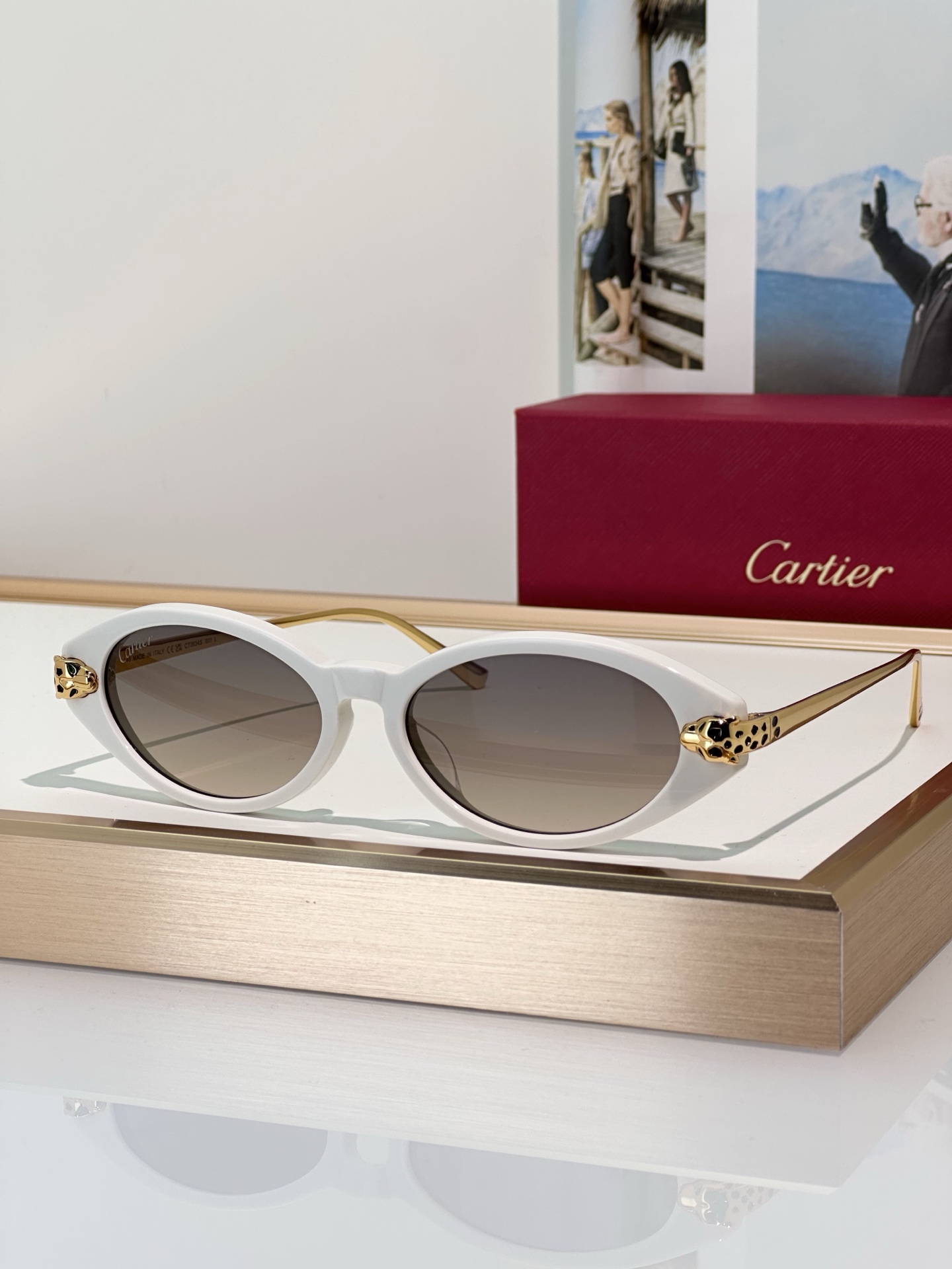 Designer Sunglasses CT0634S