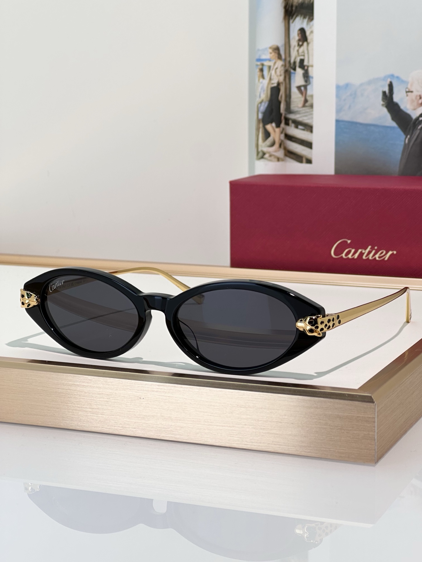 Designer Sunglasses CT0634S