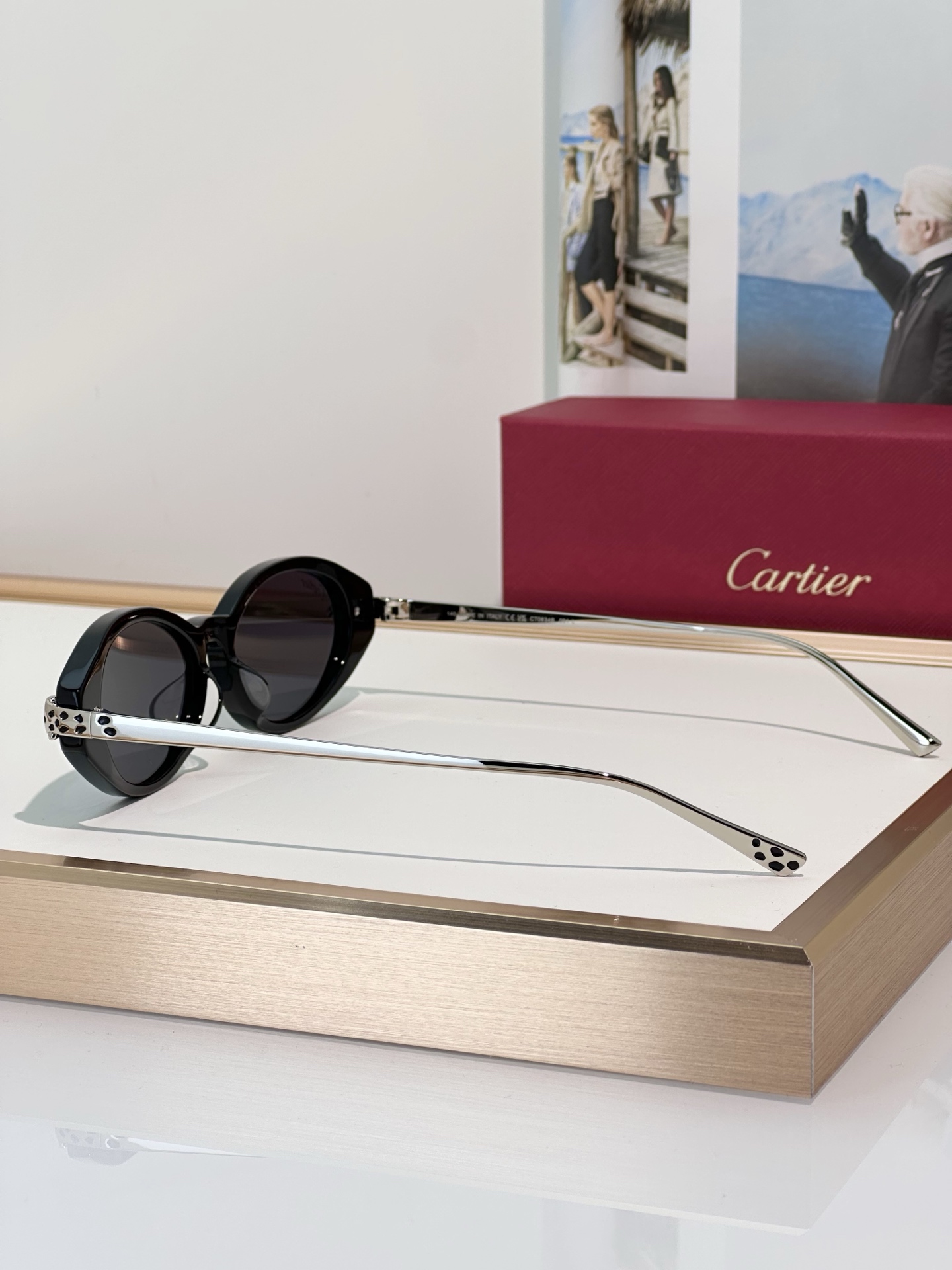 Designer Sunglasses CT0634S