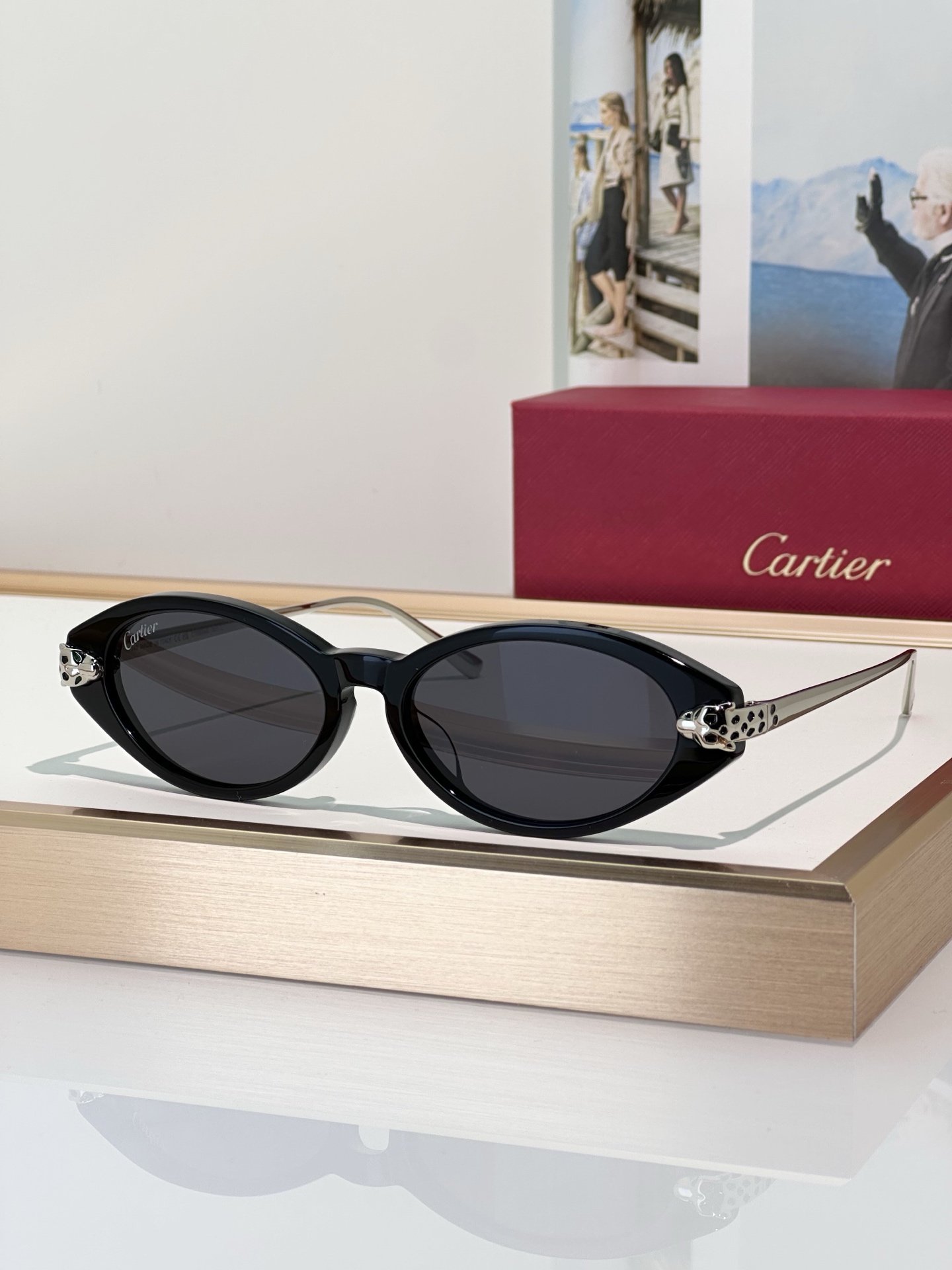 Designer Sunglasses CT0634S