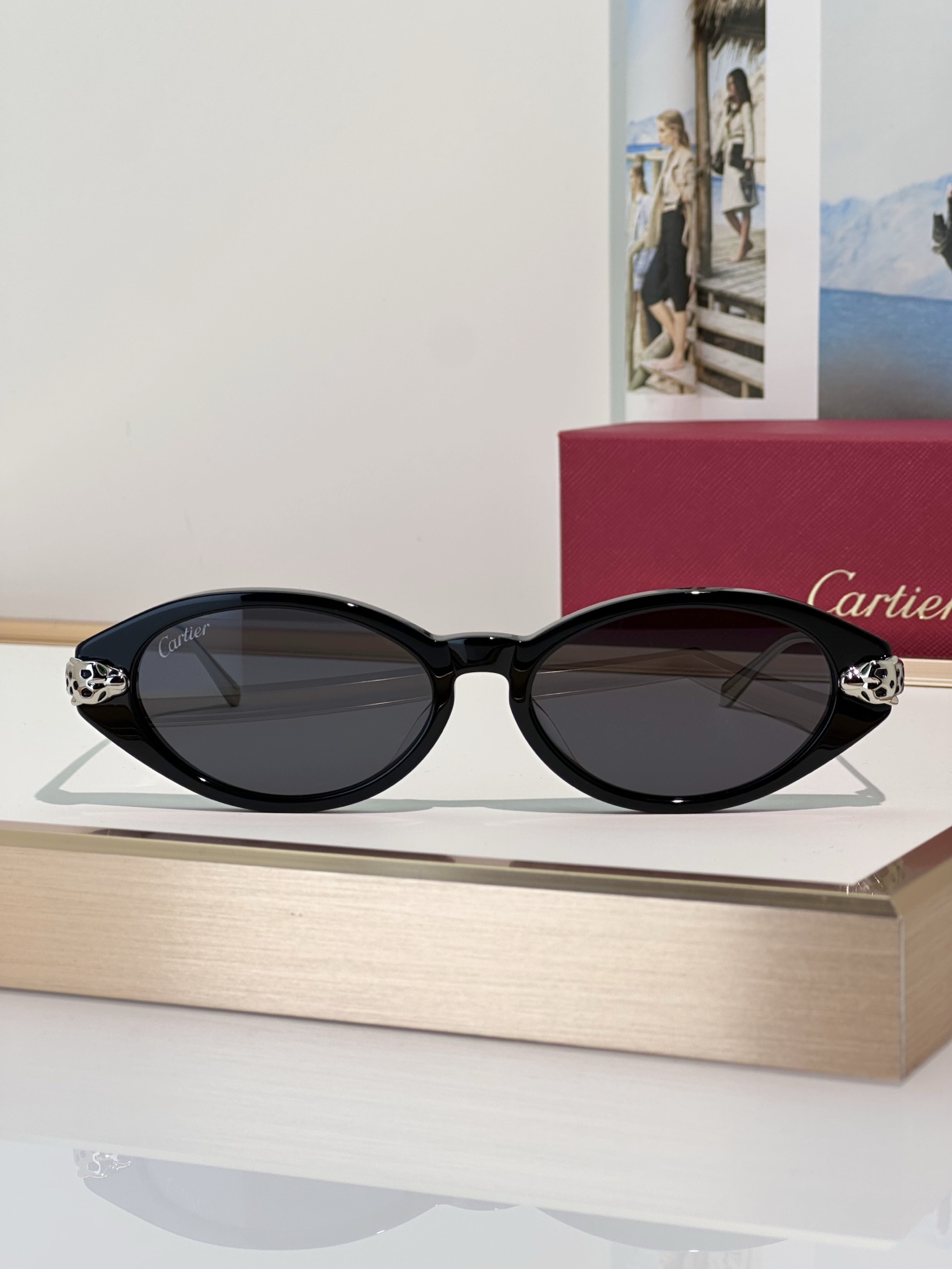 Designer Sunglasses CT0634S