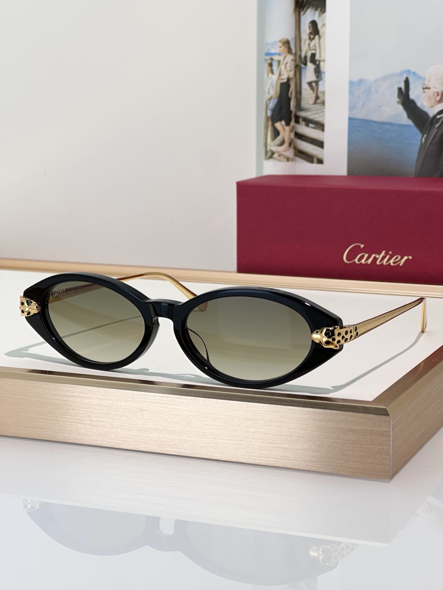 Designer Sunglasses CT0634S