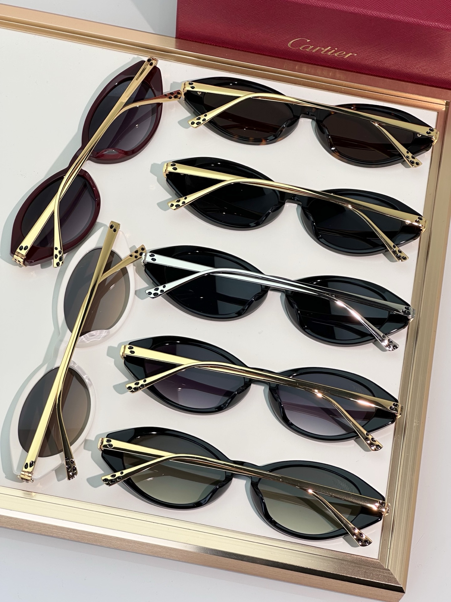 Designer Sunglasses CT0634S