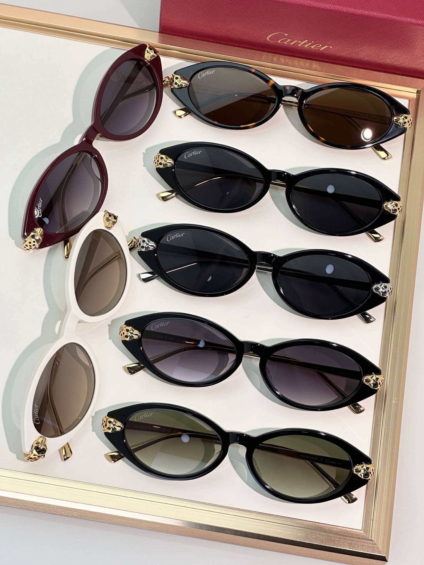 Designer Sunglasses CT0634S