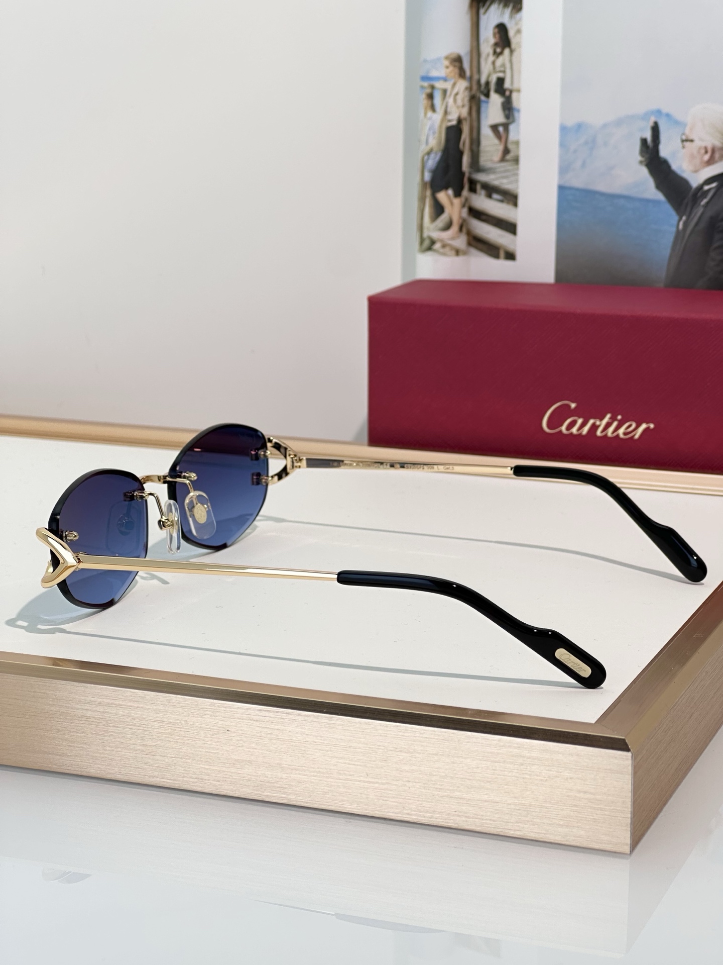 Designer Sunglasses CT0467S