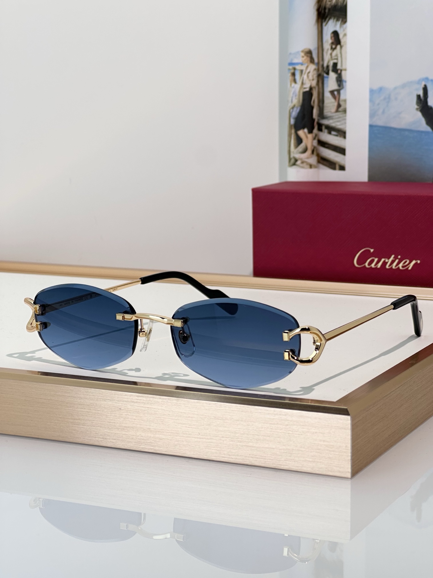Designer Sunglasses CT0467S
