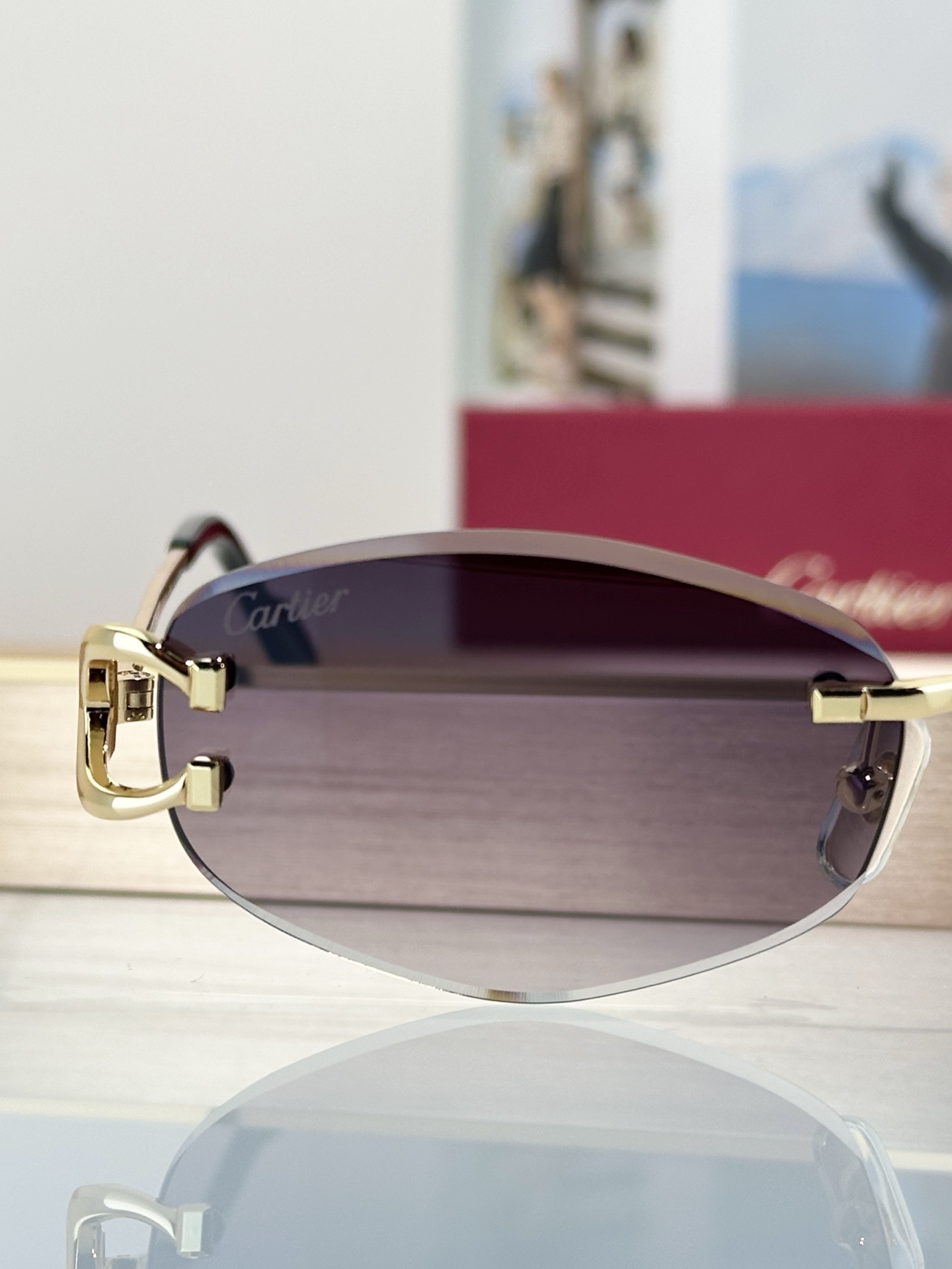 Designer Sunglasses CT0467S