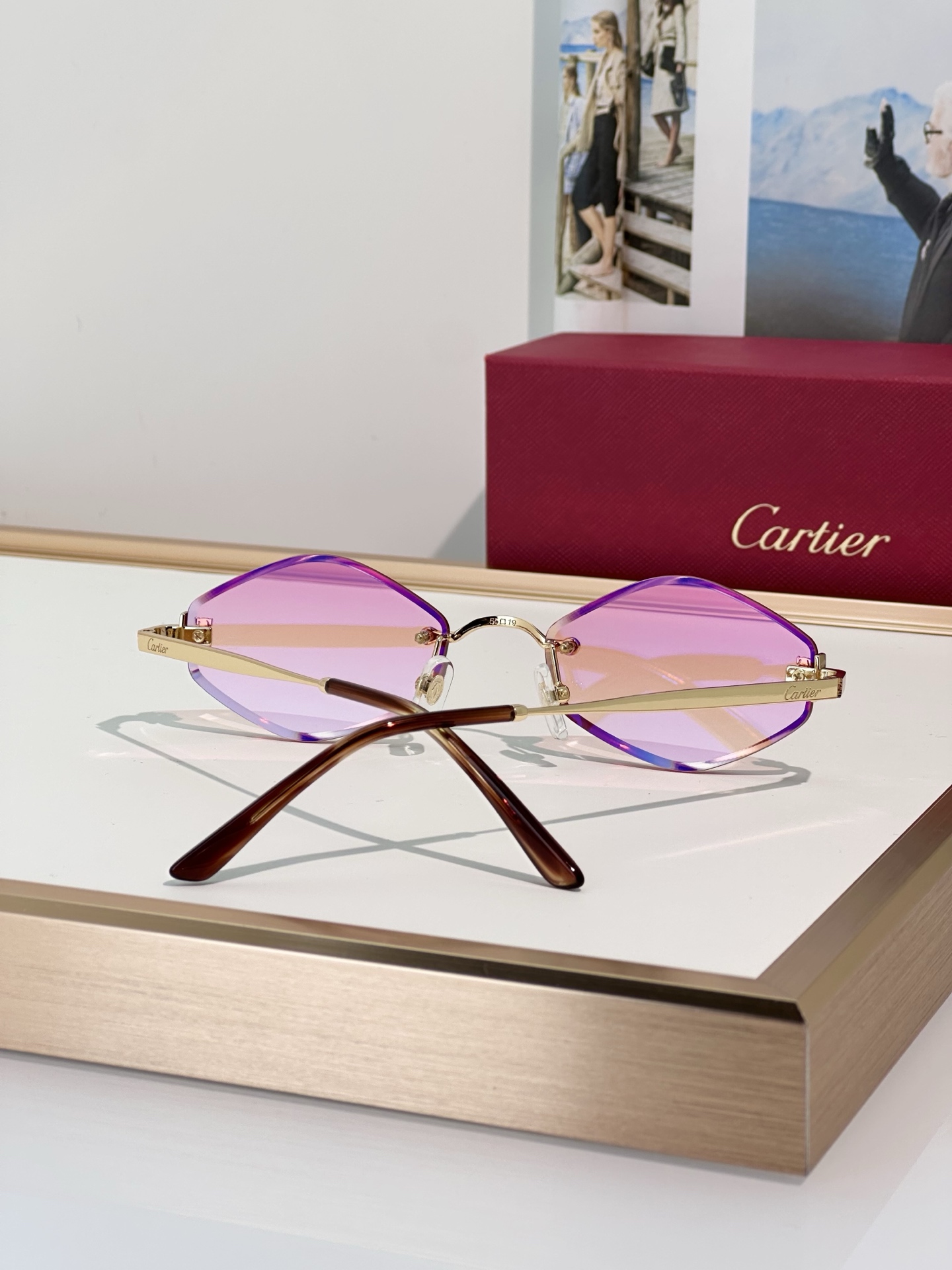 Designer Sunglasses CT0871S