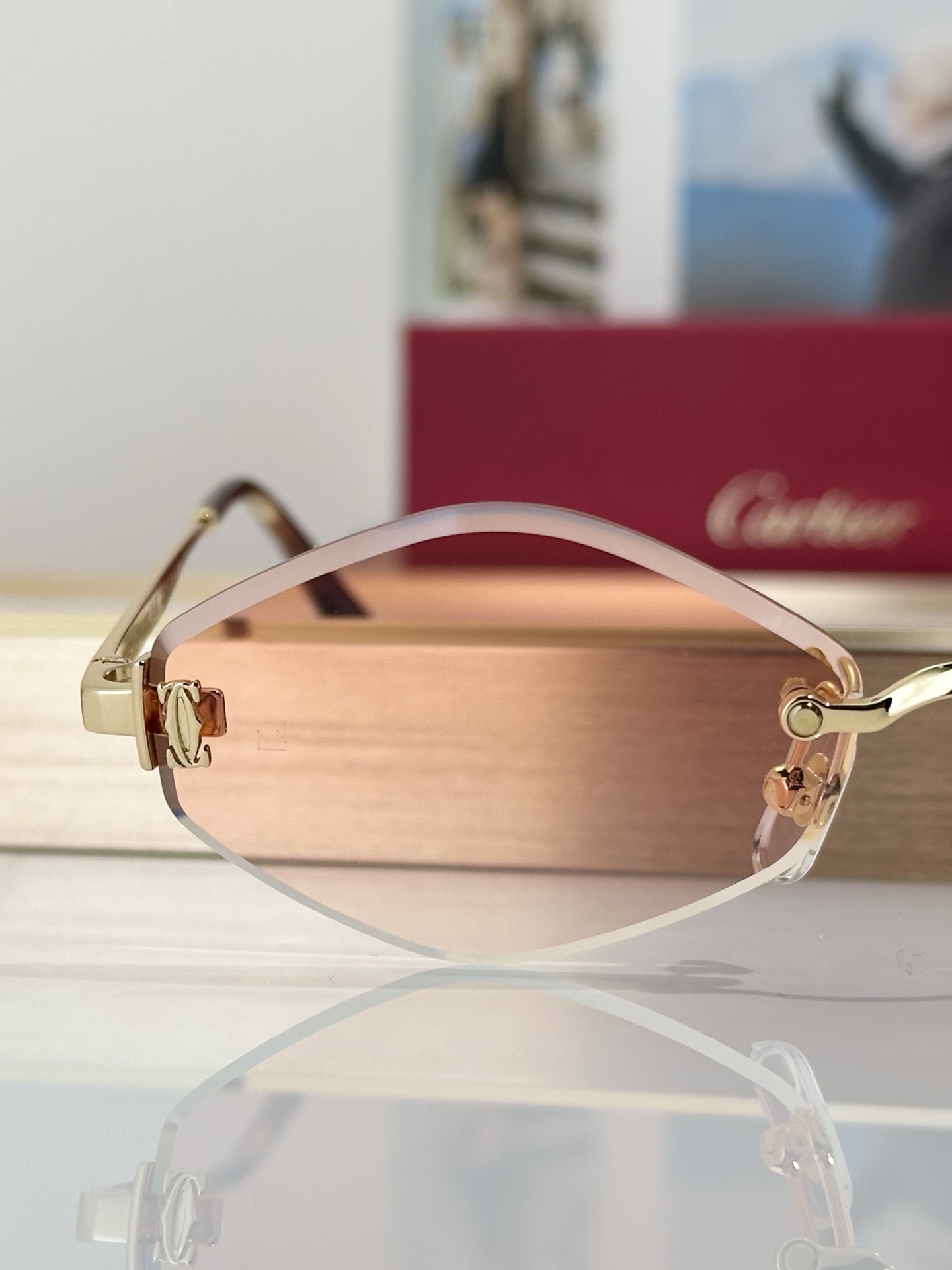 Designer Sunglasses CT0871S