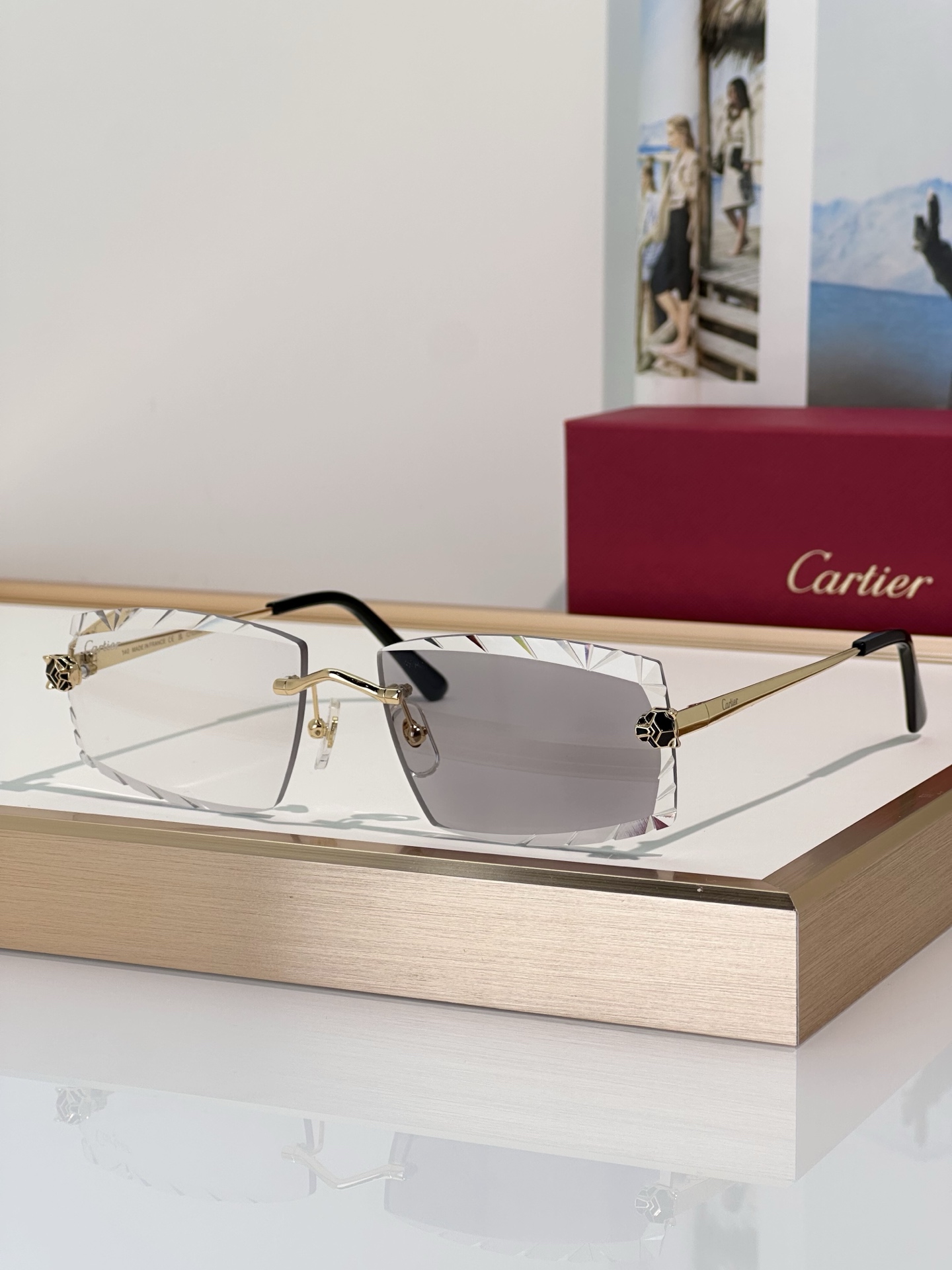 Designer Sunglasses CT0399S