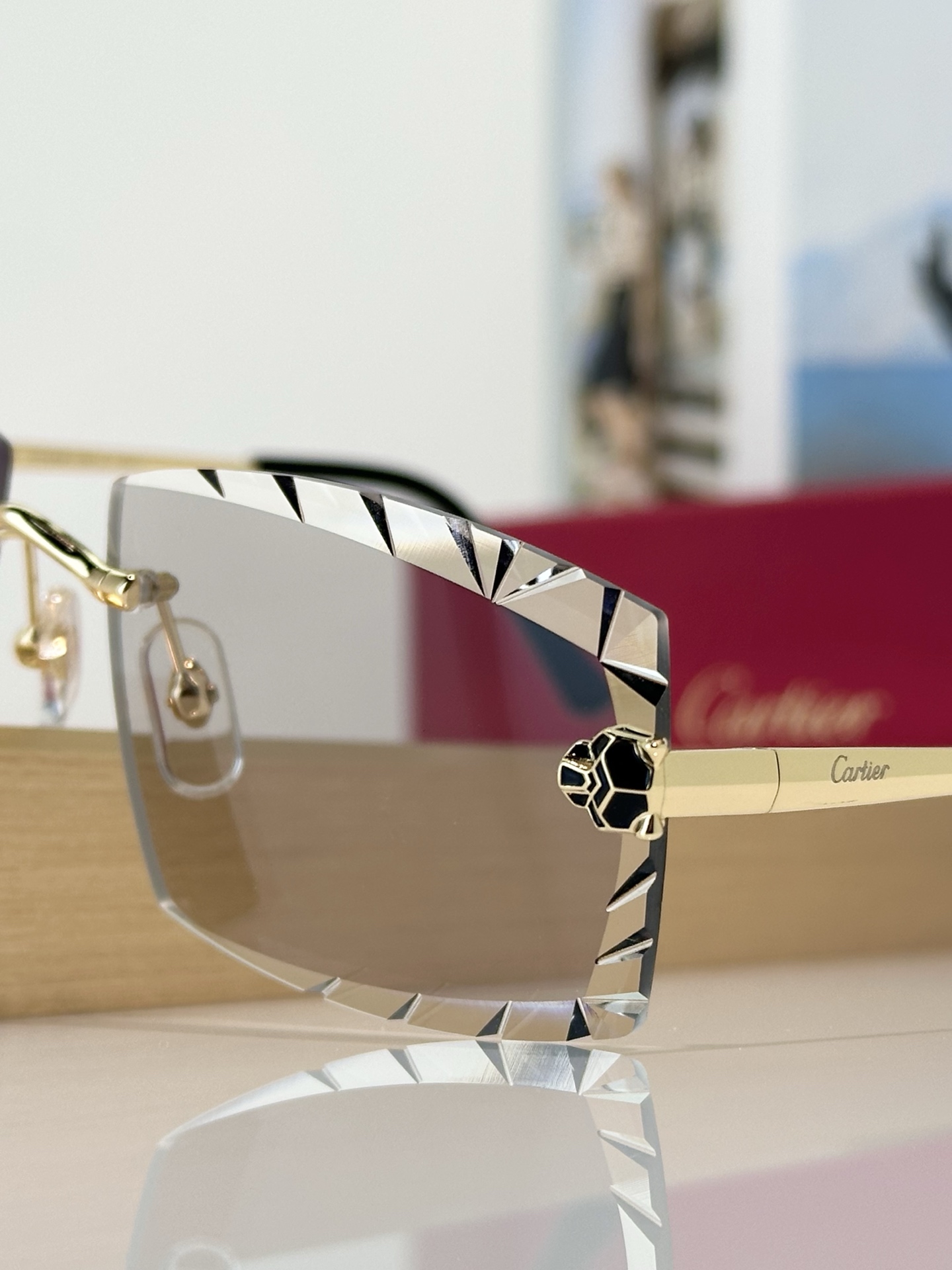Designer Sunglasses CT0399S