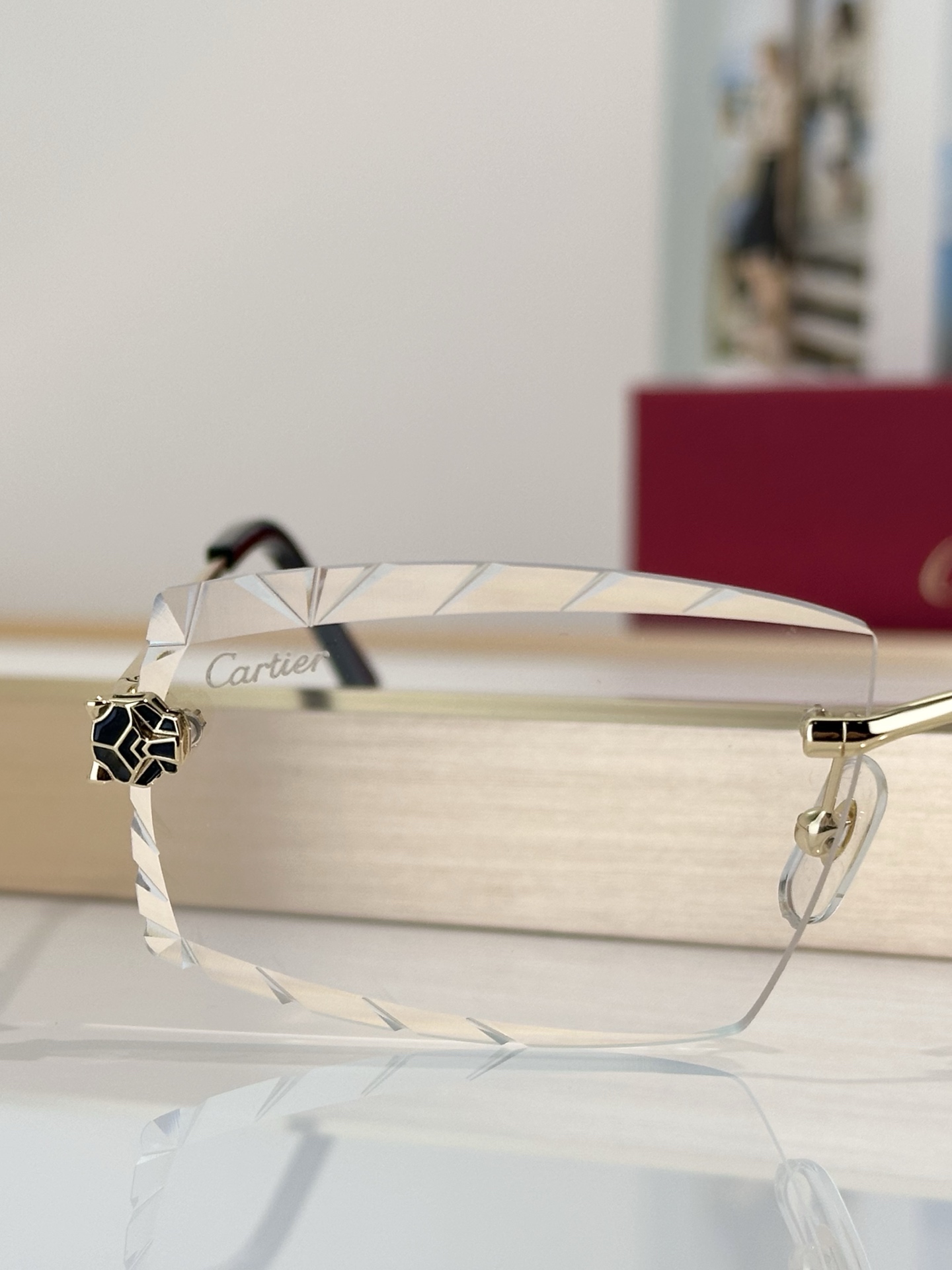 Designer Sunglasses CT0399S