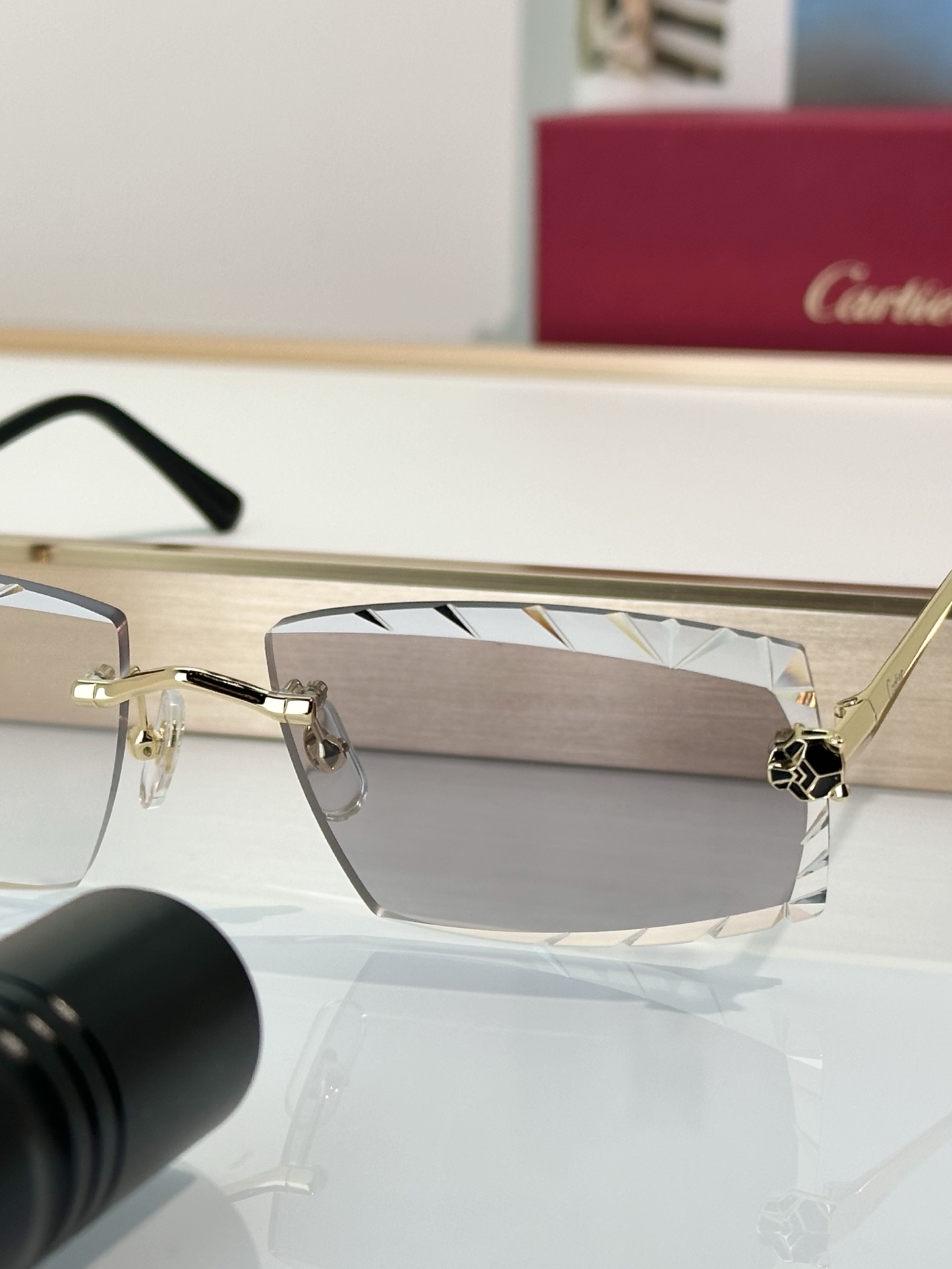 Designer Sunglasses CT0399S