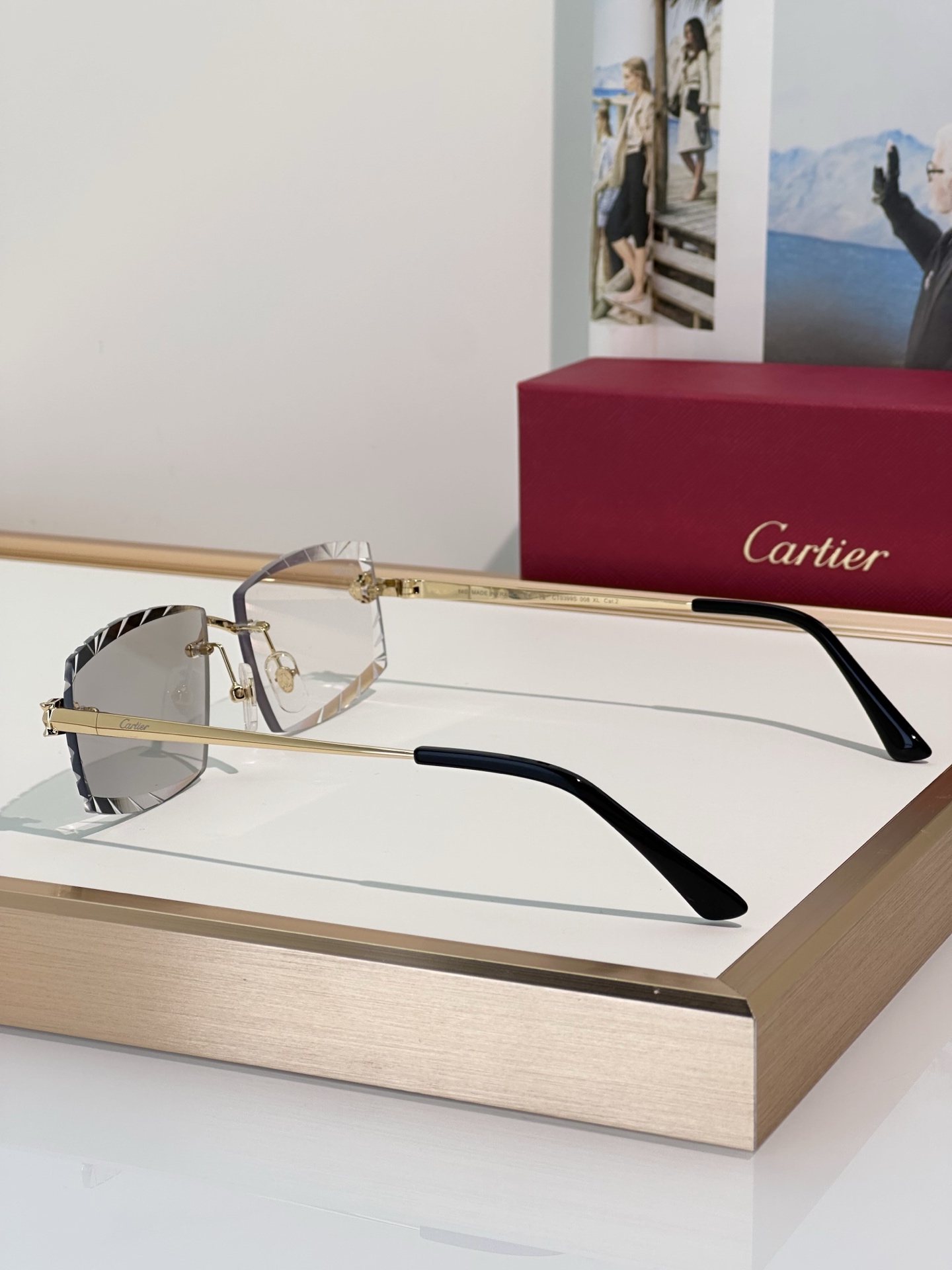 Designer Sunglasses CT0399S