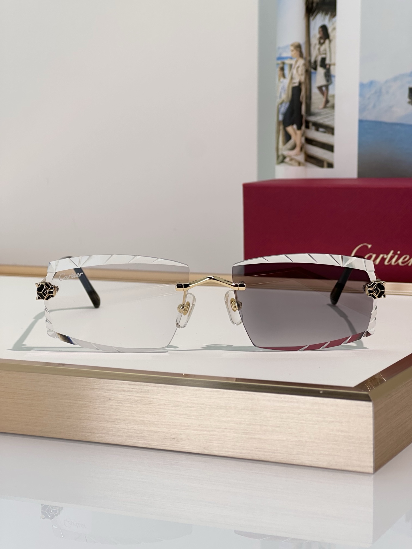 Designer Sunglasses CT0399S
