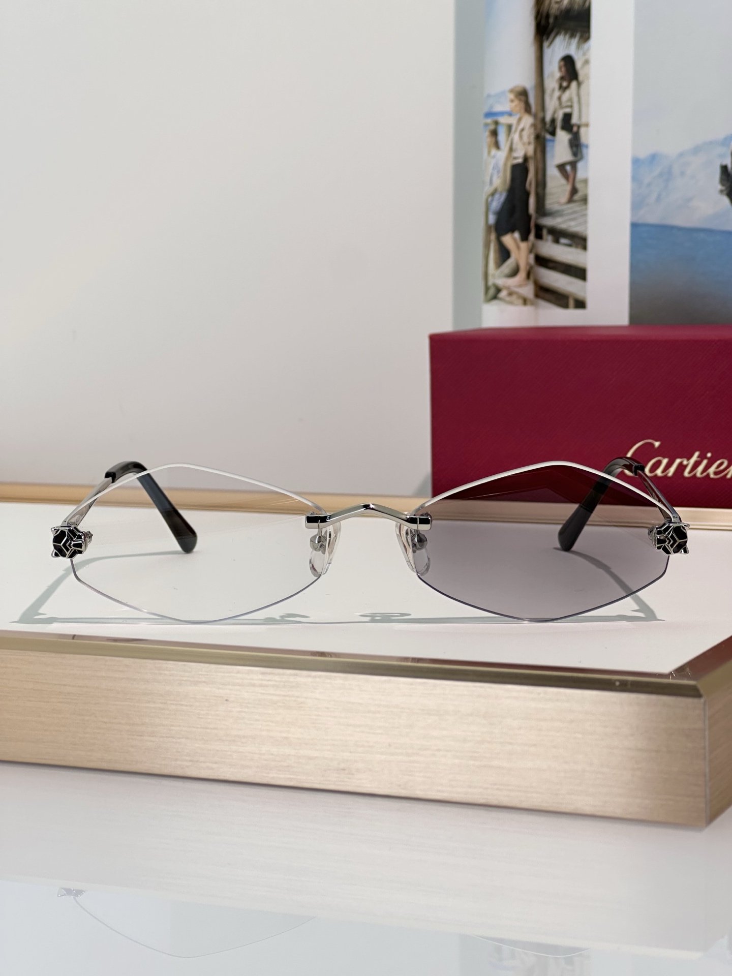 Designer Sunglasses CT0433S