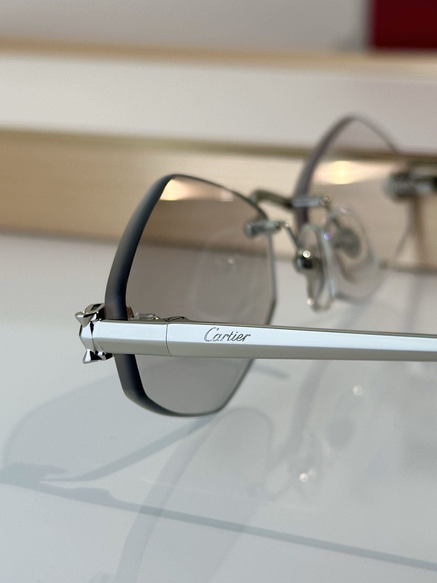 Designer Sunglasses CT0433S