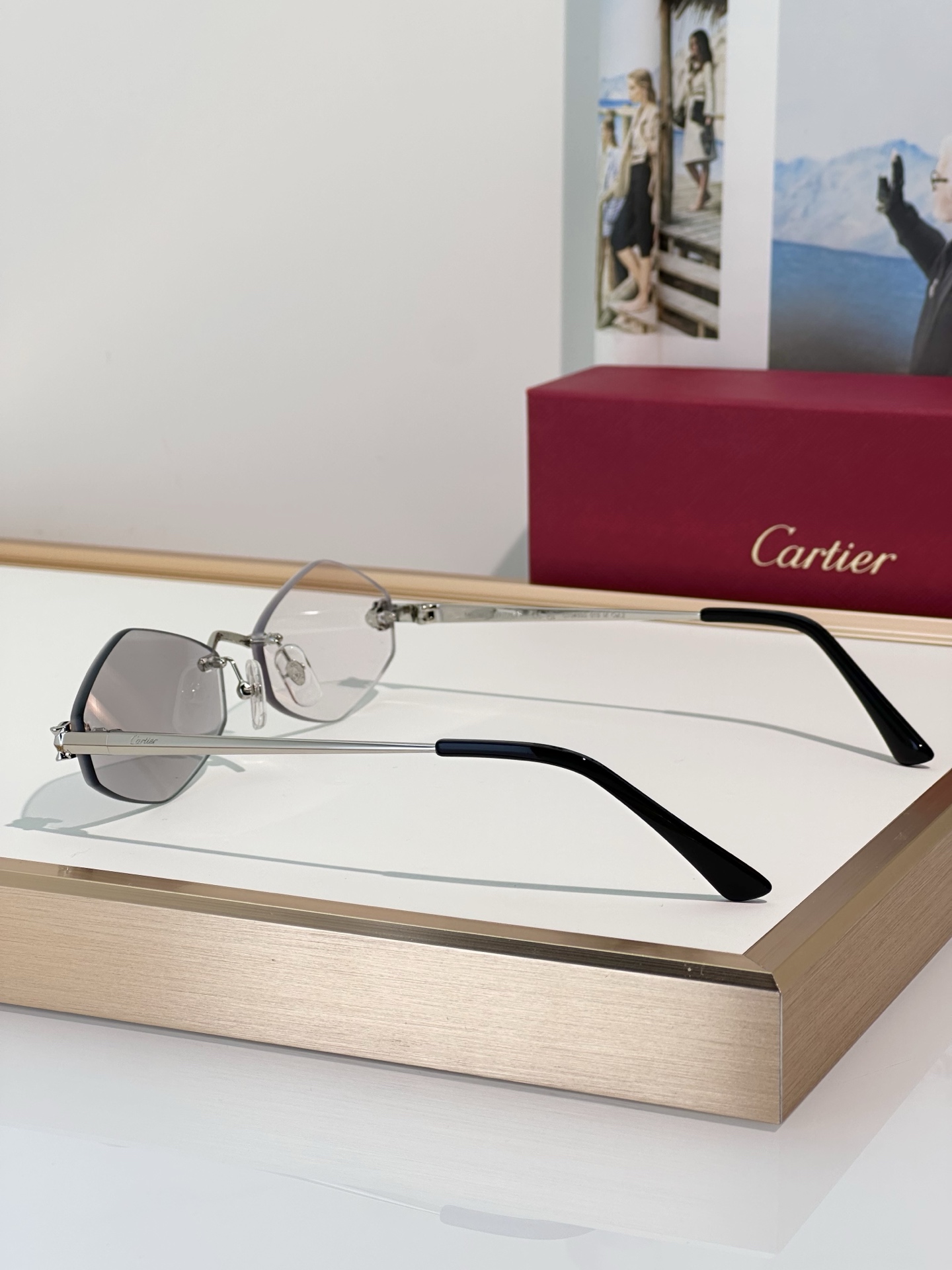 Designer Sunglasses CT0433S