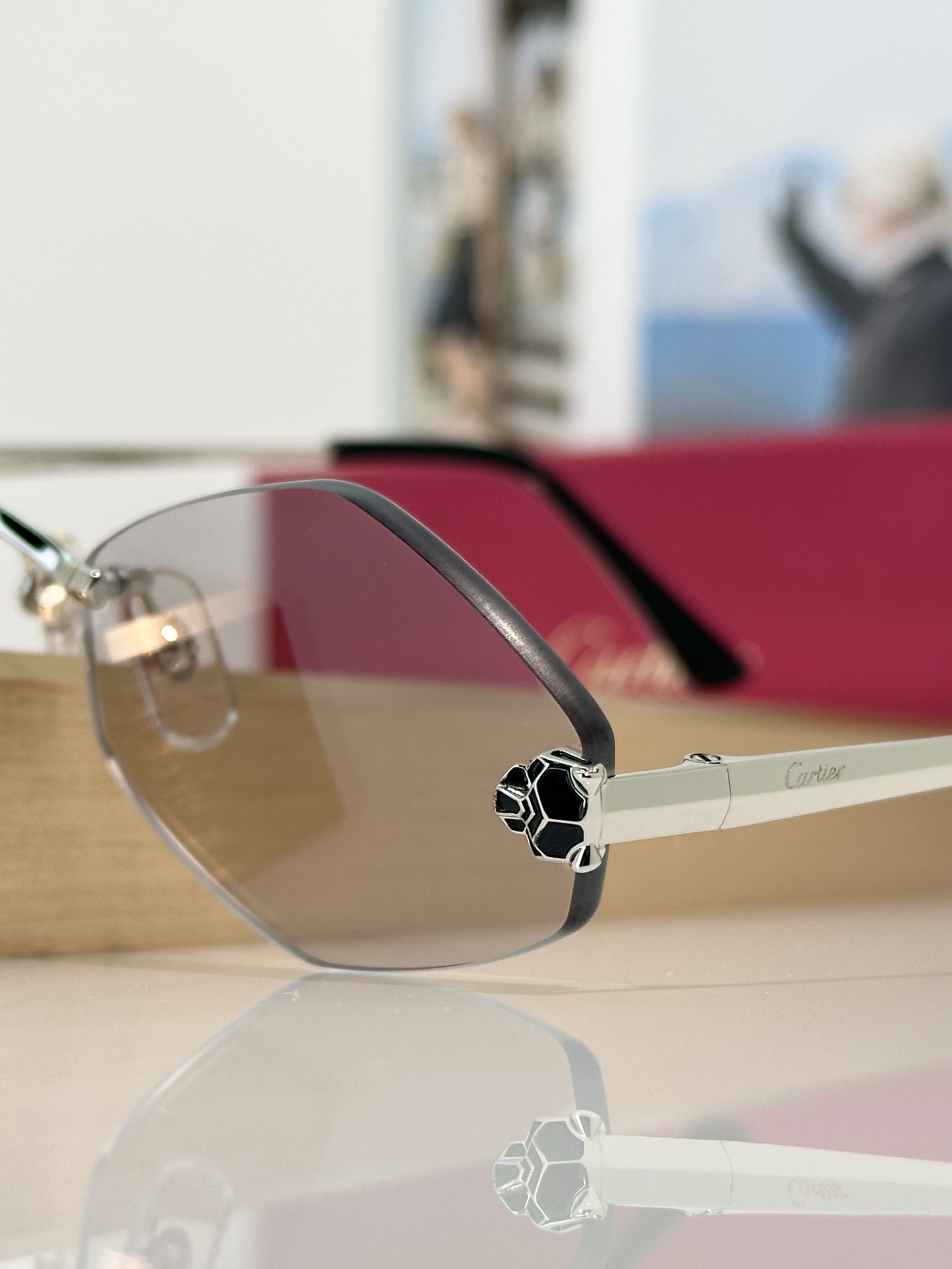 Designer Sunglasses CT0433S