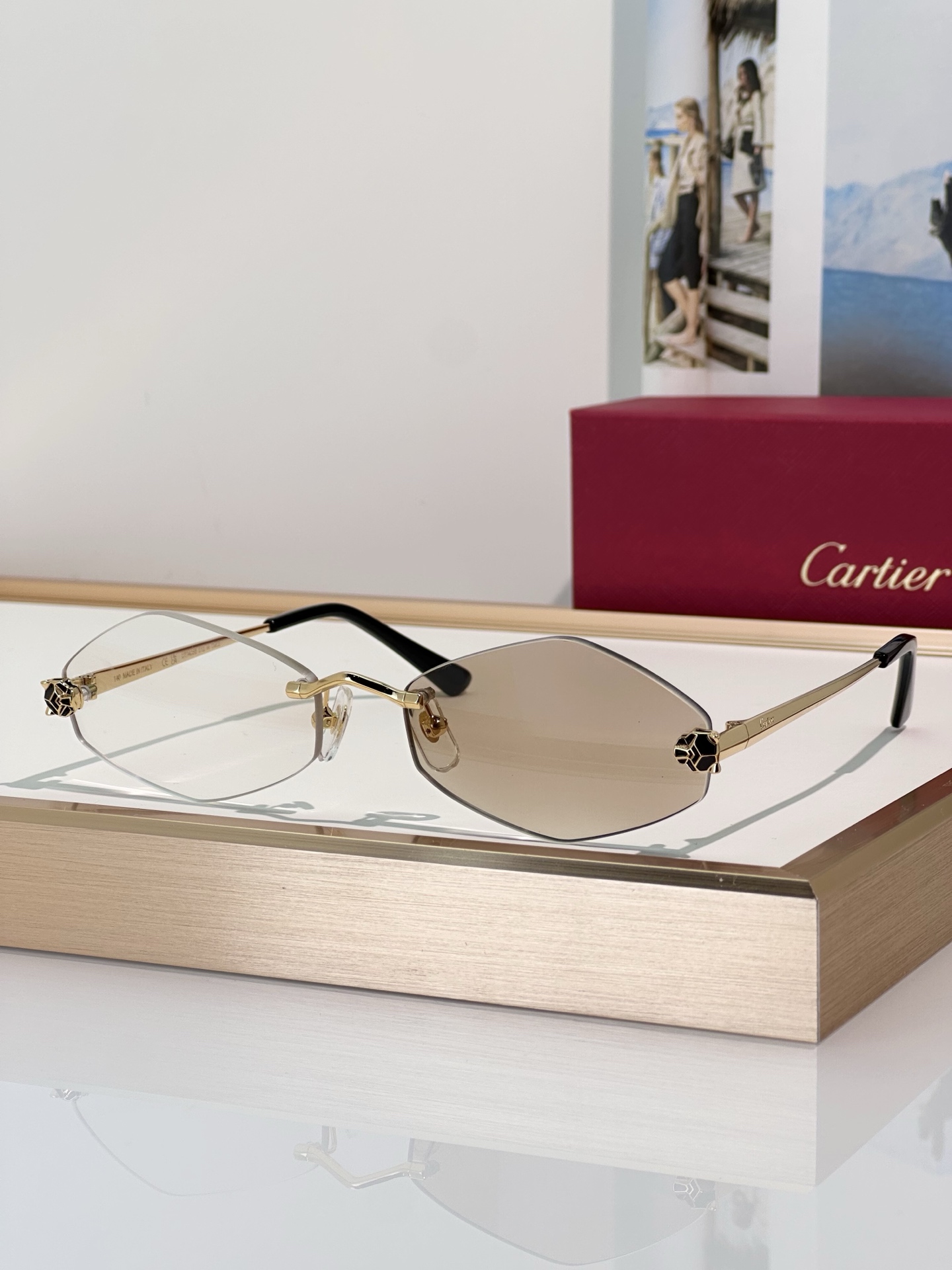 Designer Sunglasses CT0433S