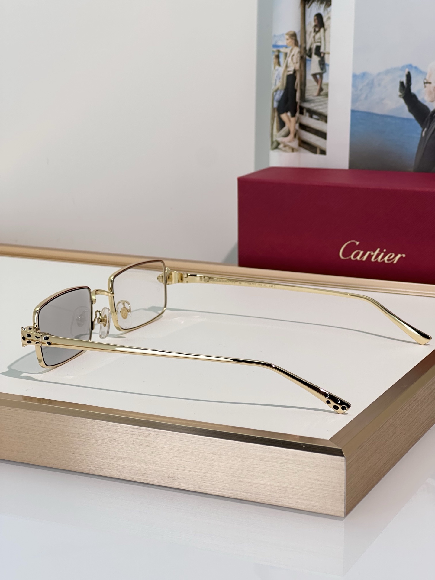 Designer Sunglasses CT0473S