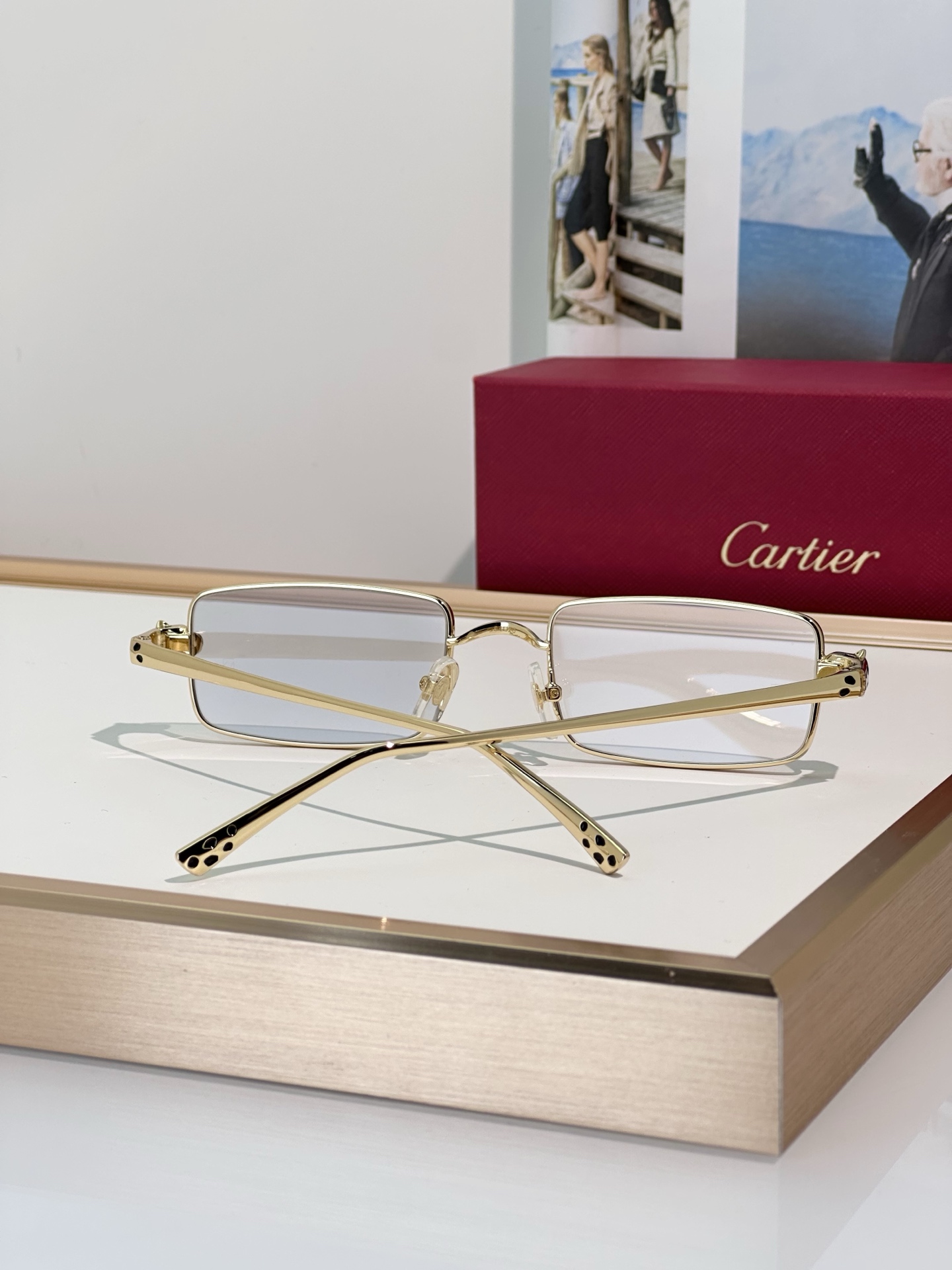 Designer Sunglasses CT0473S