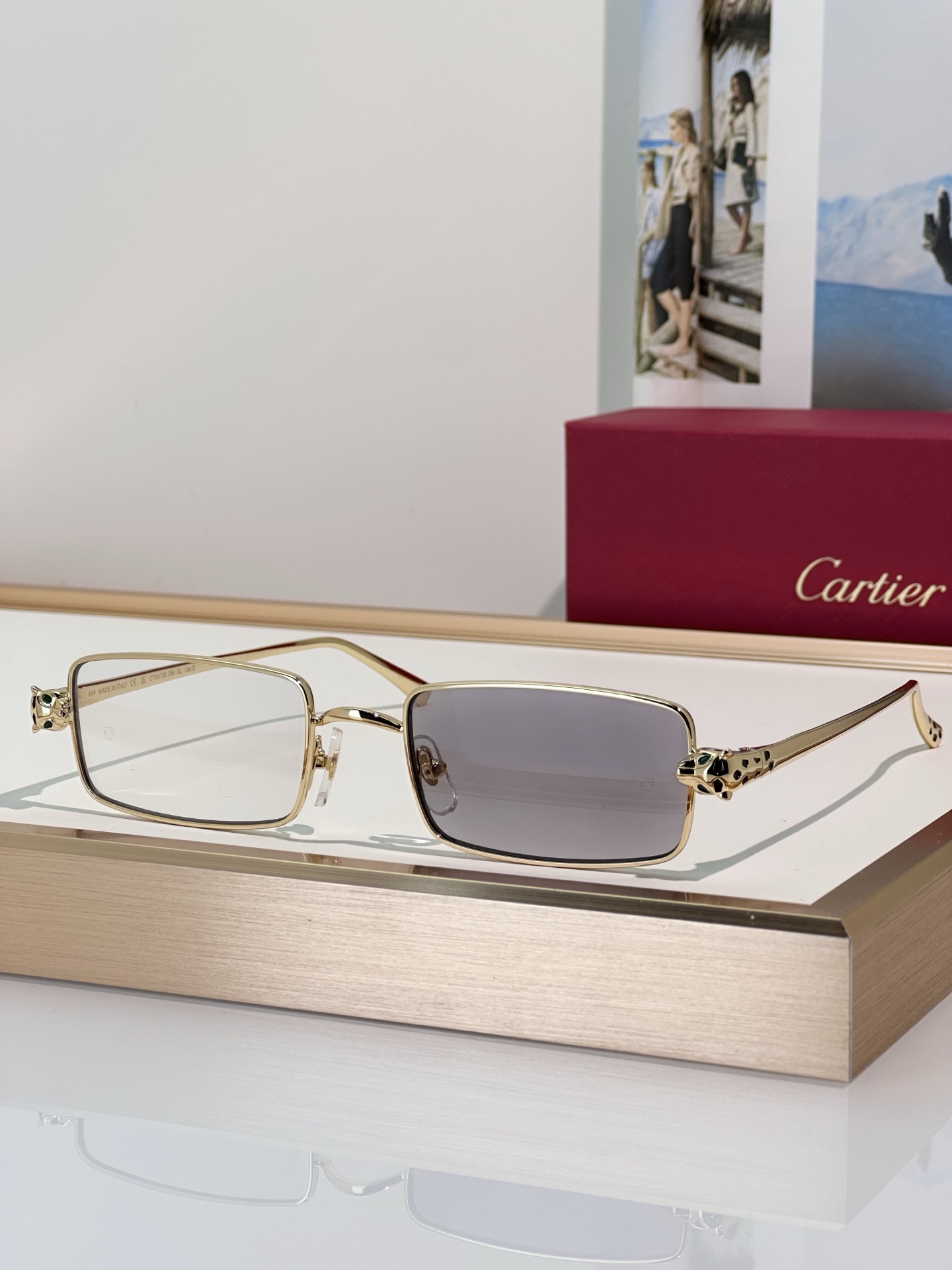 Designer Sunglasses CT0473S