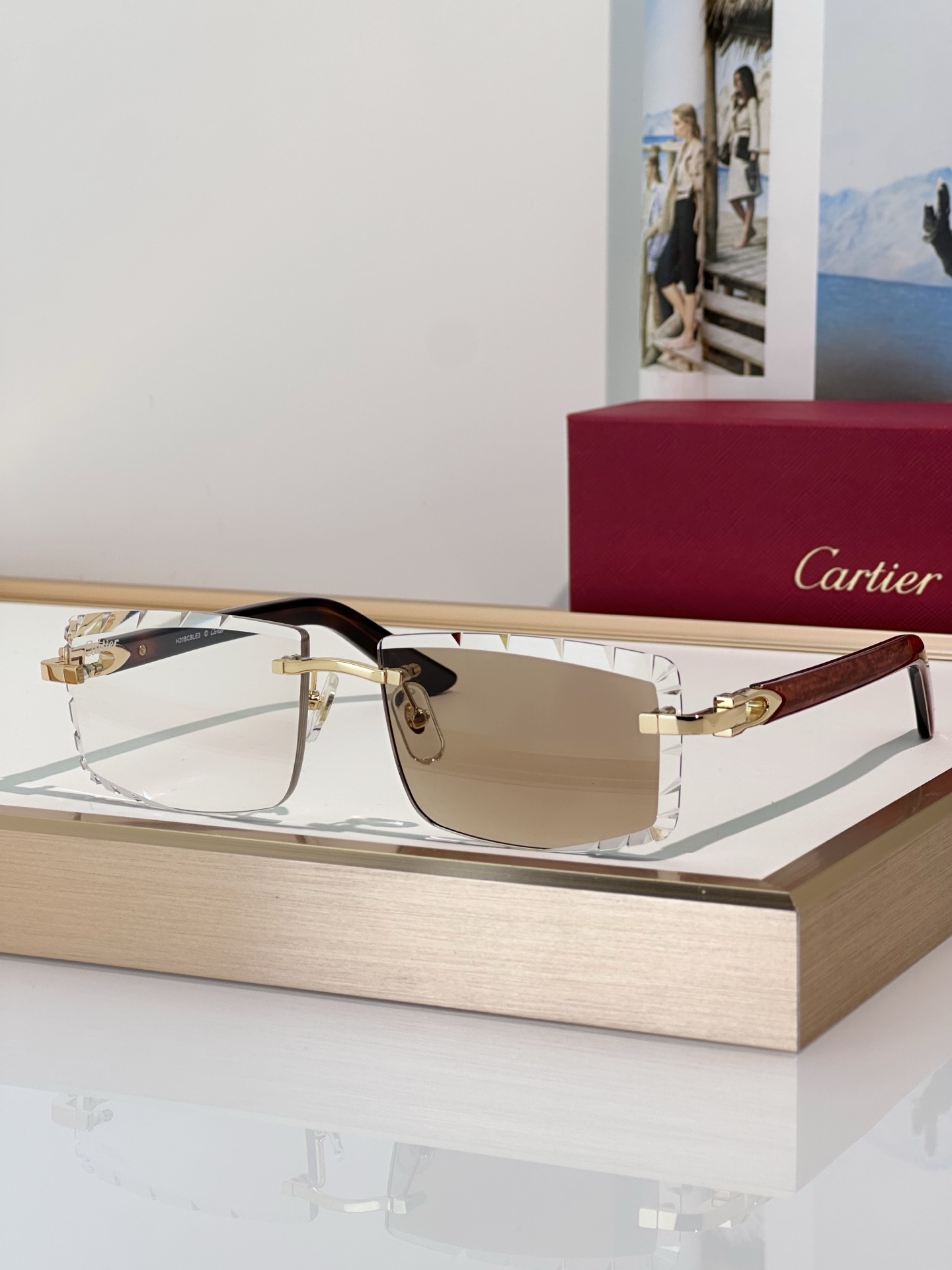 Designer Sunglasses CT0440S