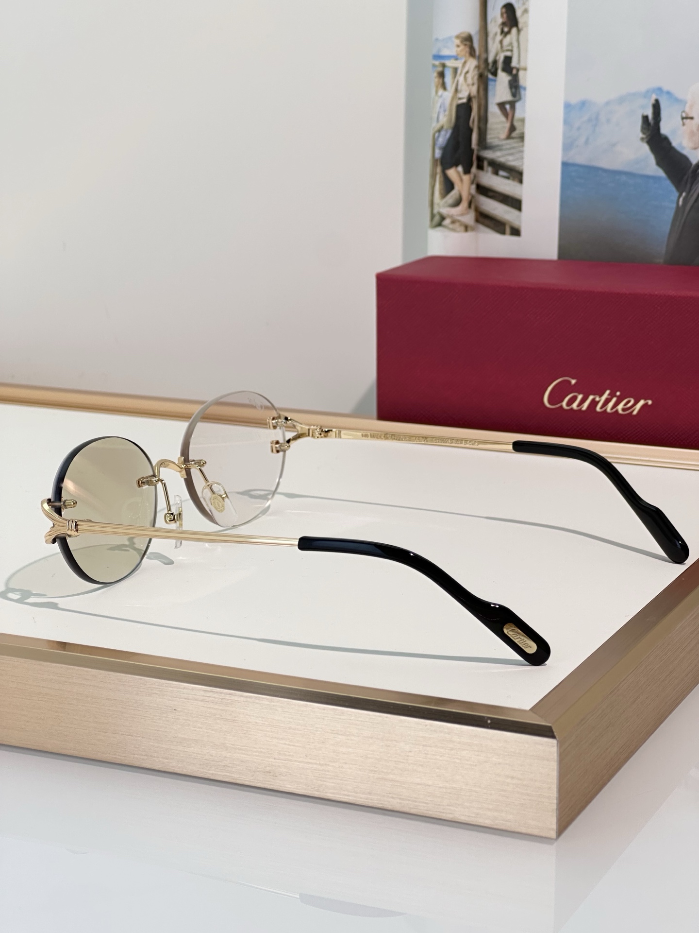 Designer Sunglasses CT0551S