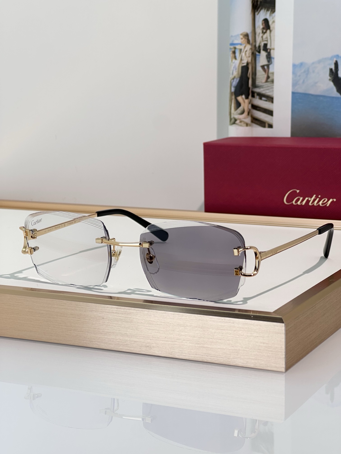Designer Sunglasses CT0830S
