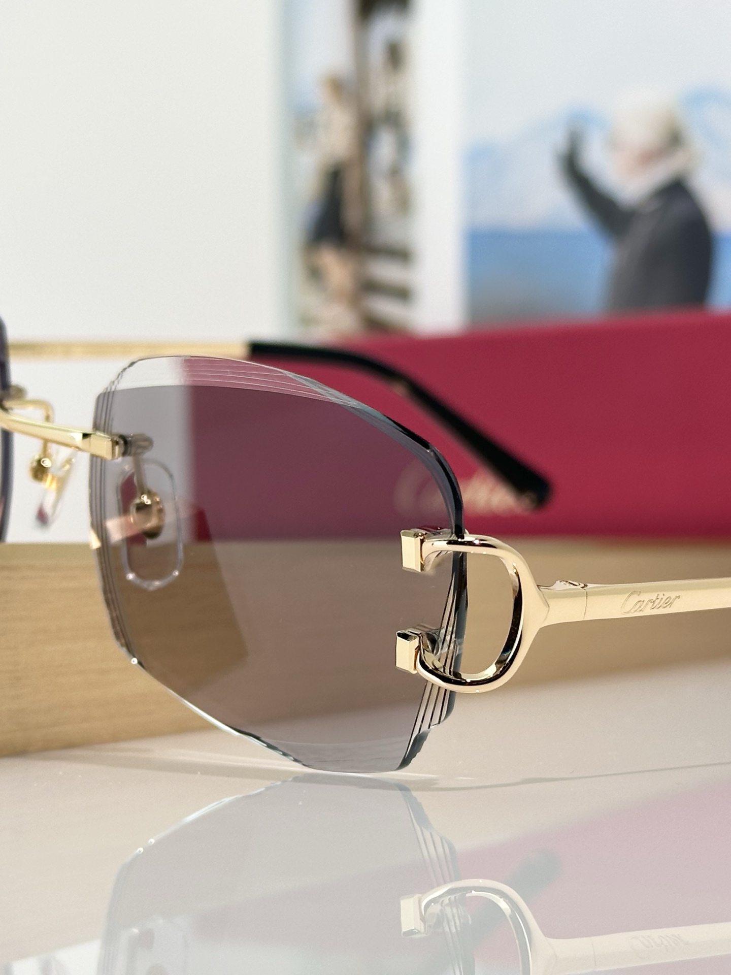Designer Sunglasses CT0830S