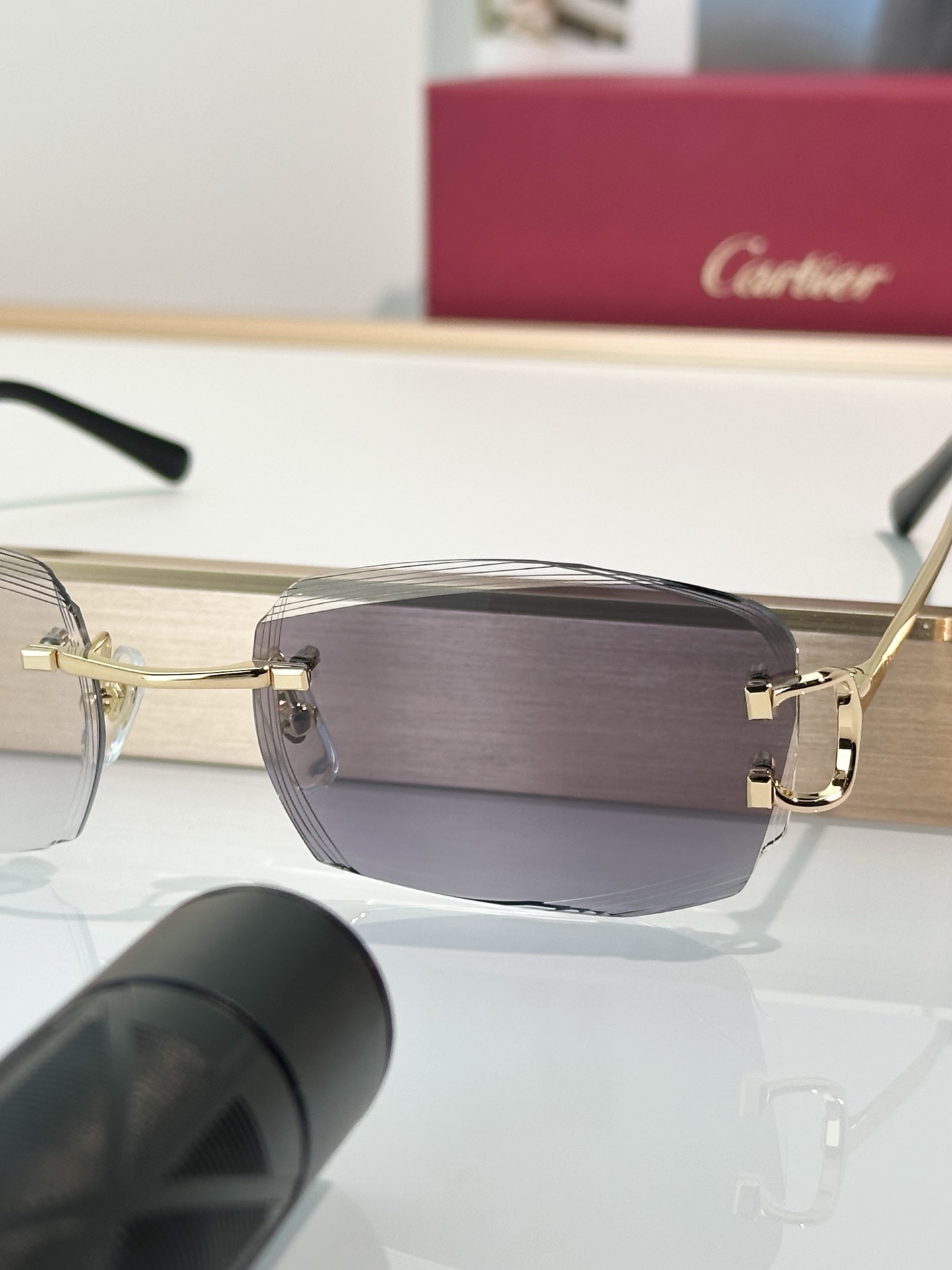 Designer Sunglasses CT0830S
