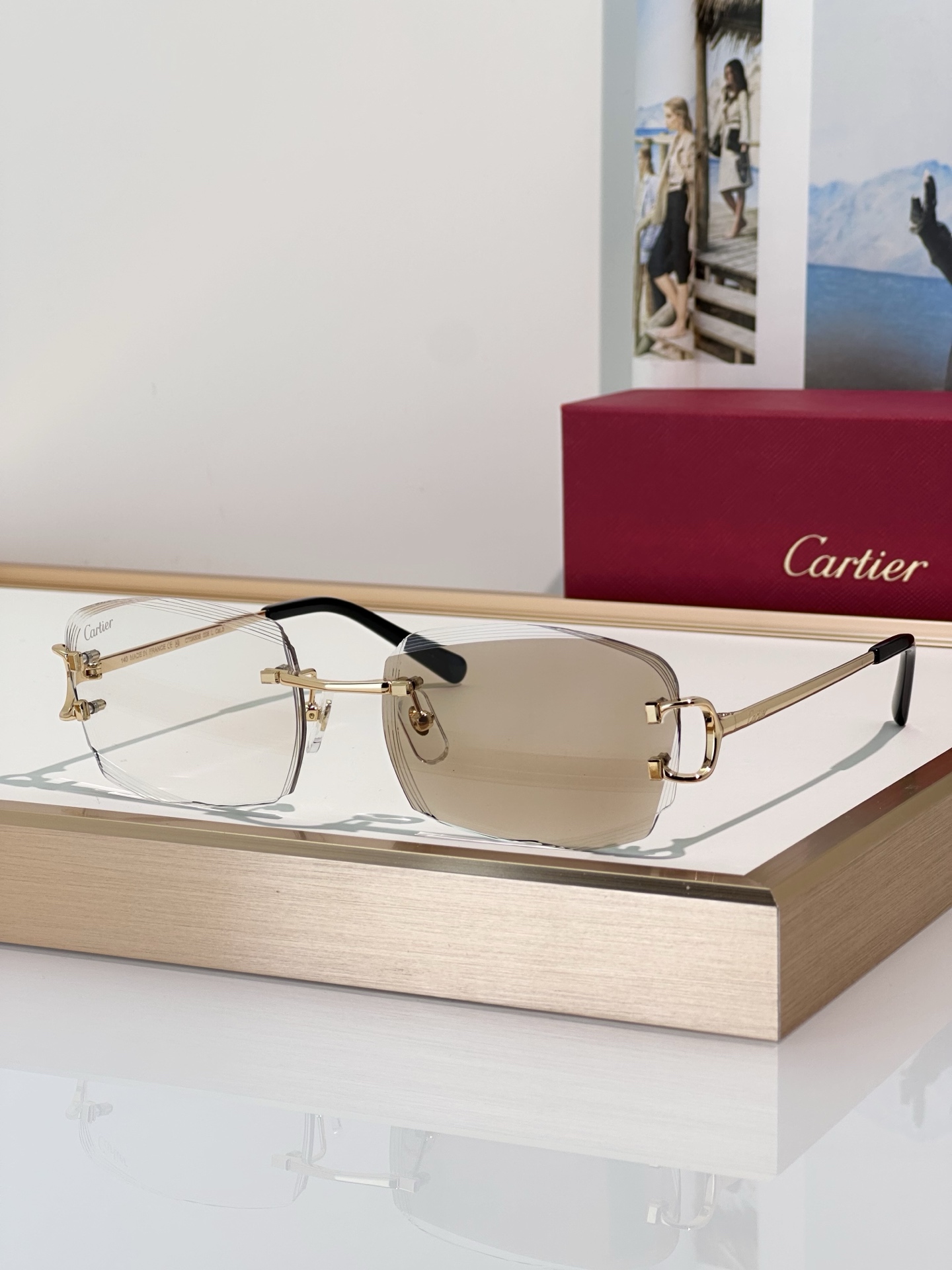 Designer Sunglasses CT0830S