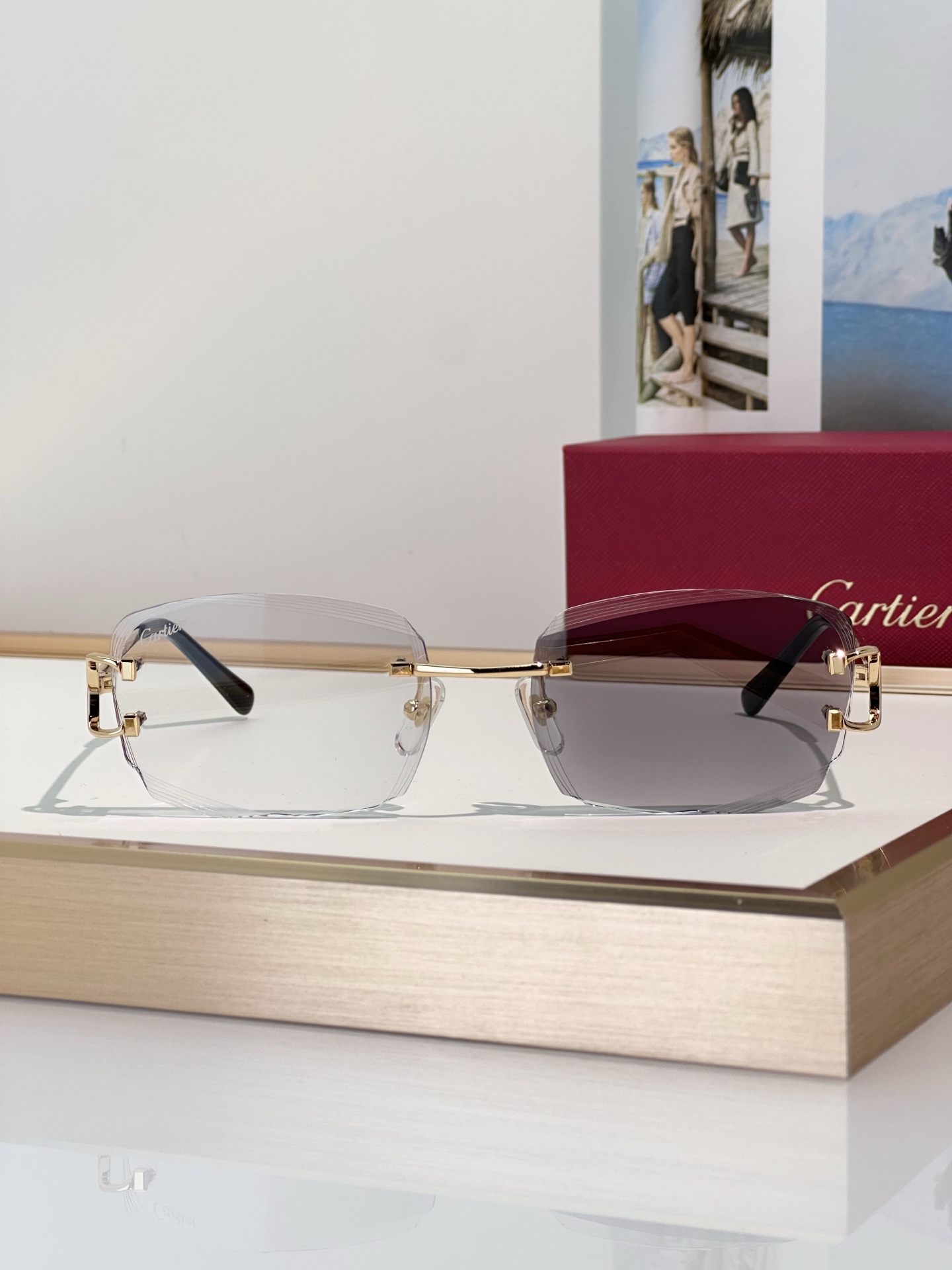Designer Sunglasses CT0830S