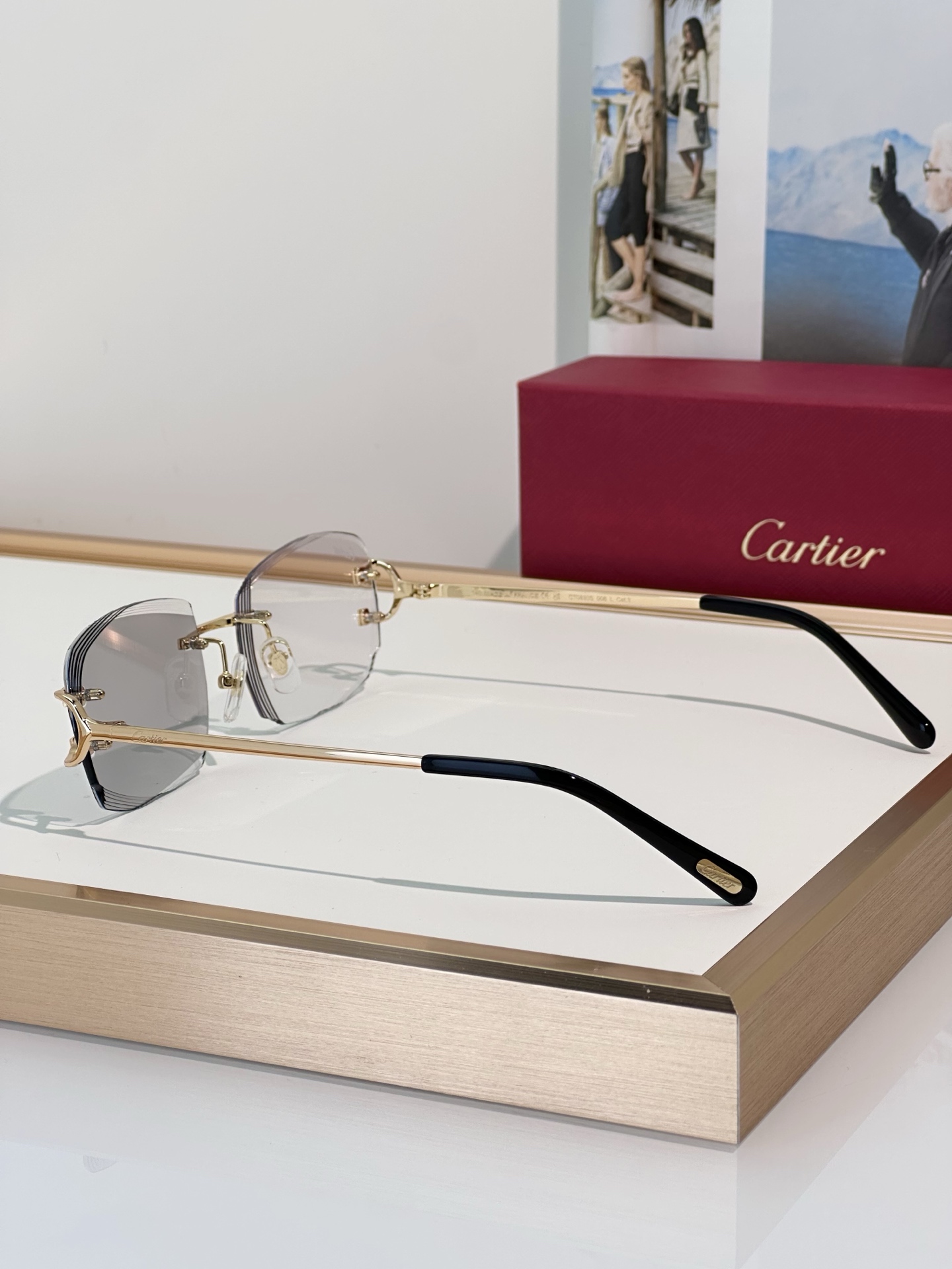 Designer Sunglasses CT0830S