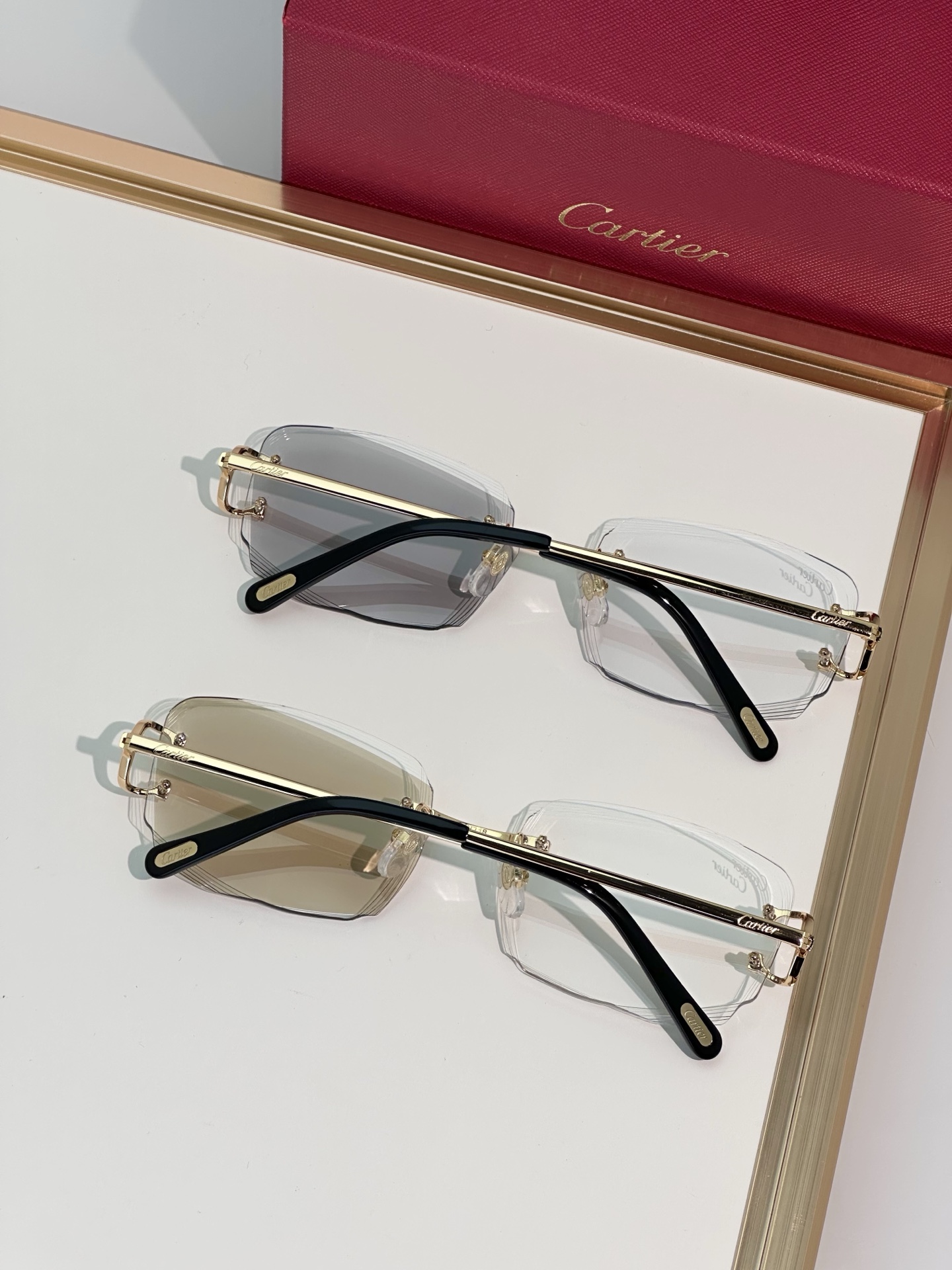 Designer Sunglasses CT0830S