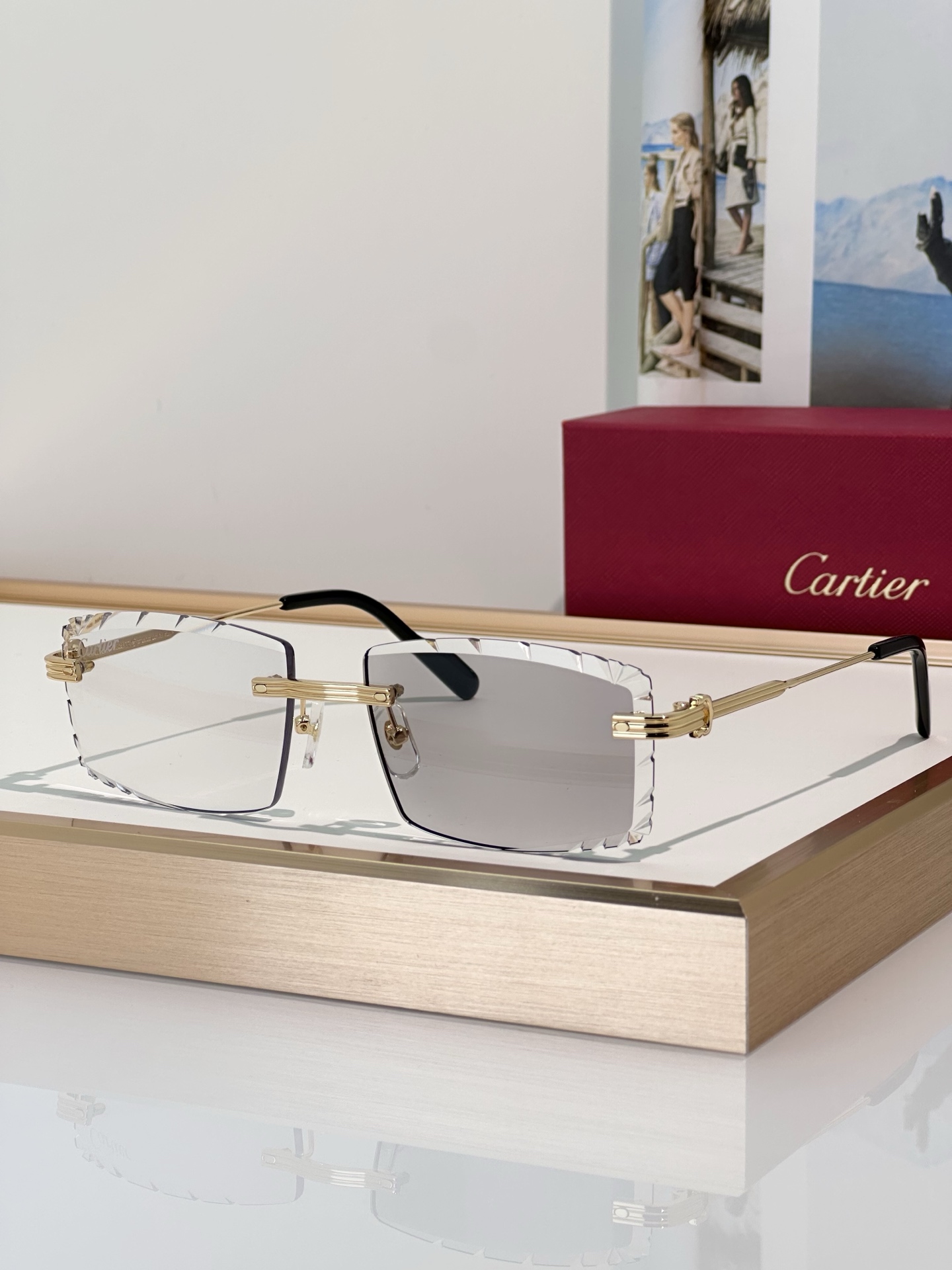 Designer Sunglasses CT0850S